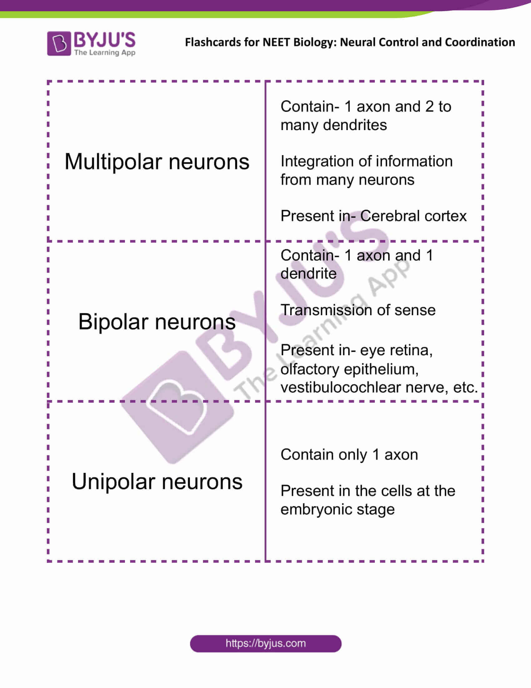 flashcards for neet biology neural control and coordination 05