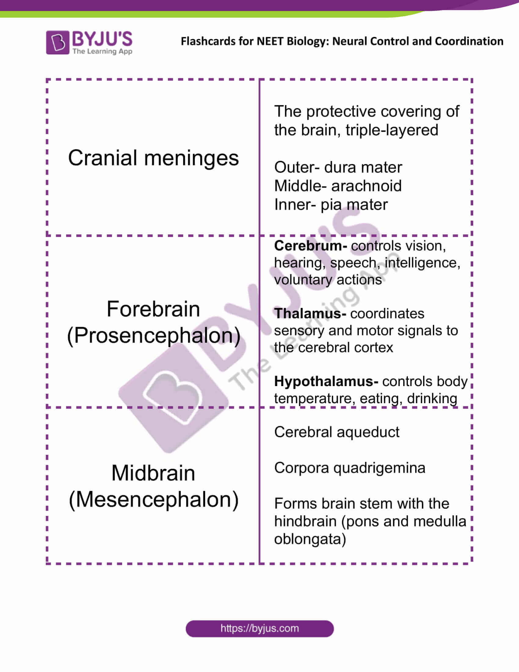 flashcards for neet biology neural control and coordination 06