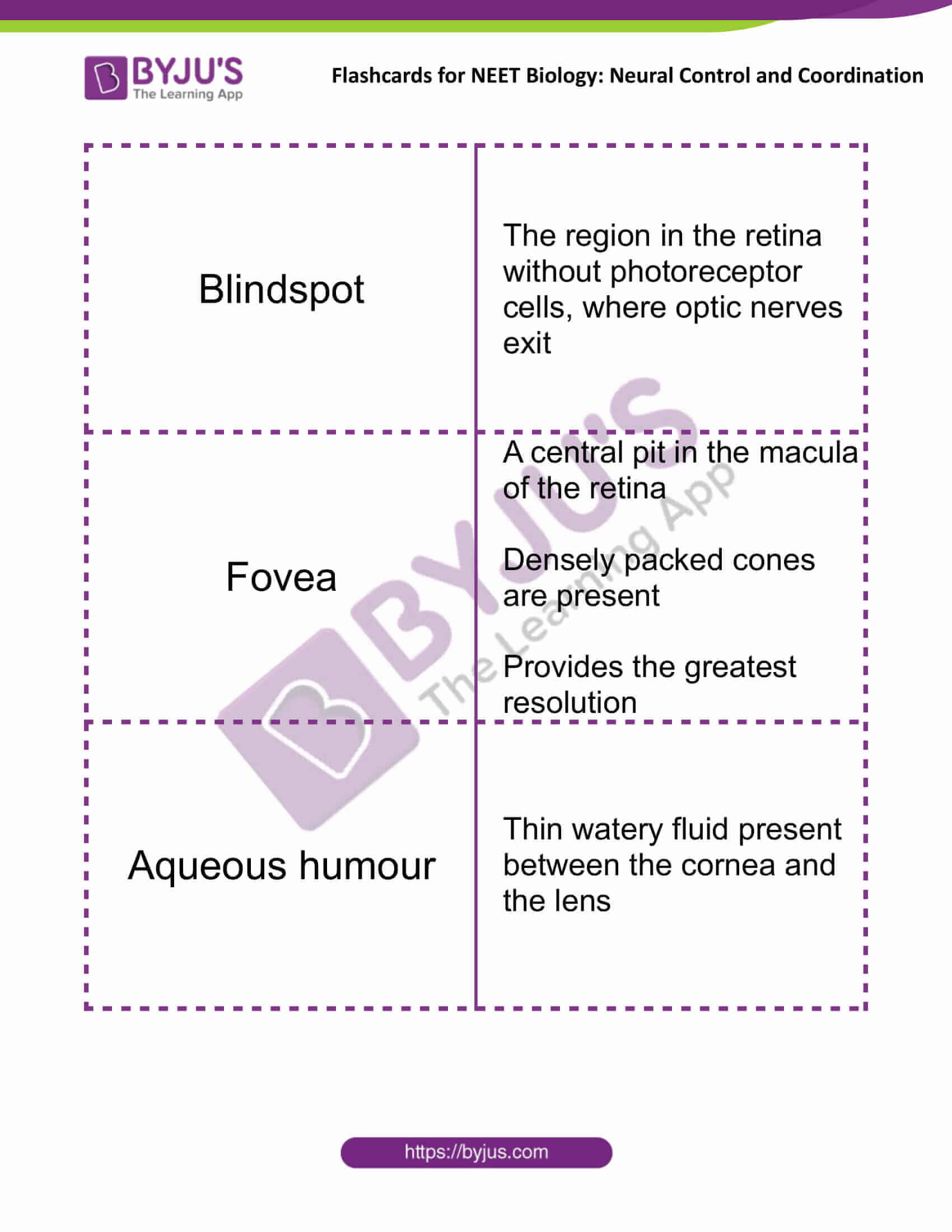 flashcards for neet biology neural control and coordination 11