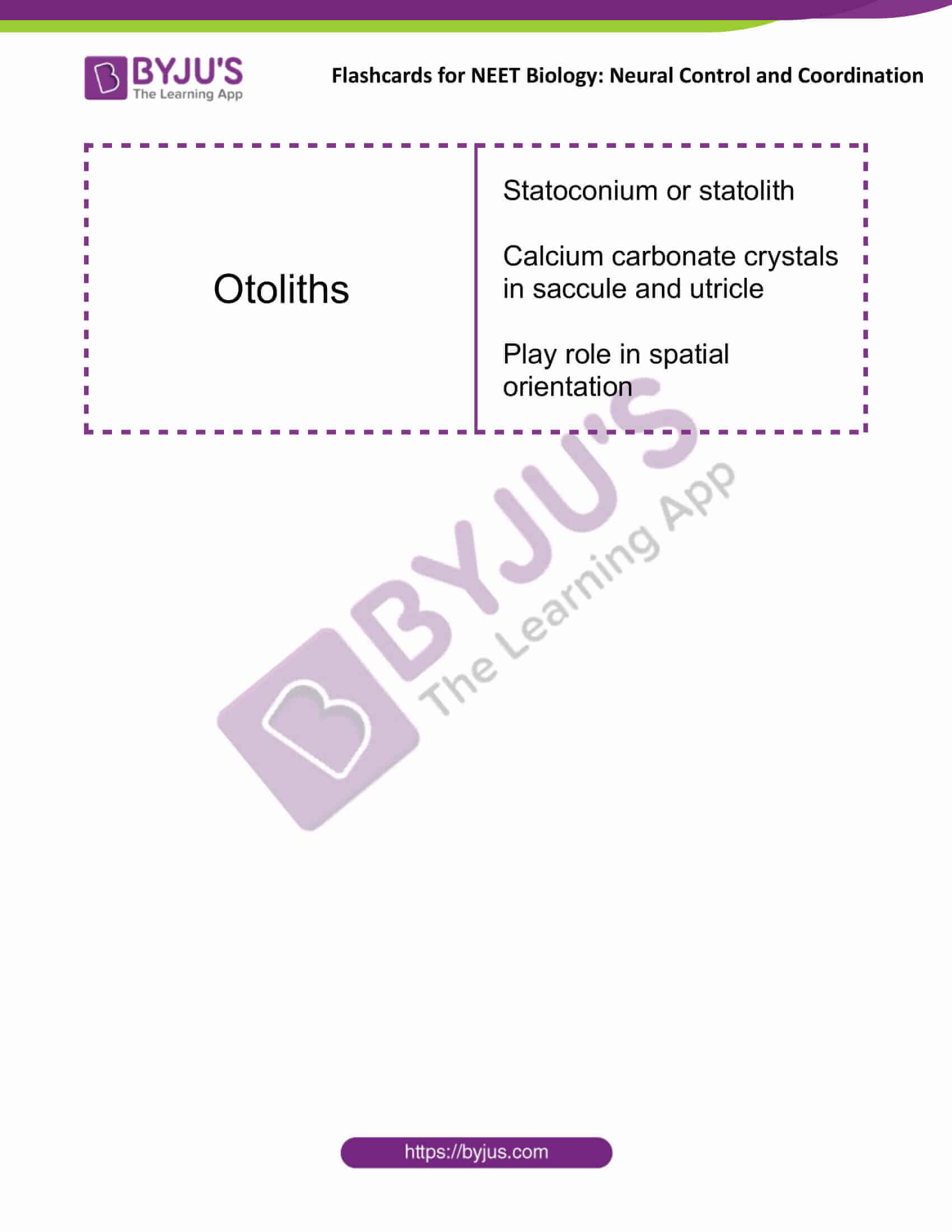 flashcards for neet biology neural control and coordination 15