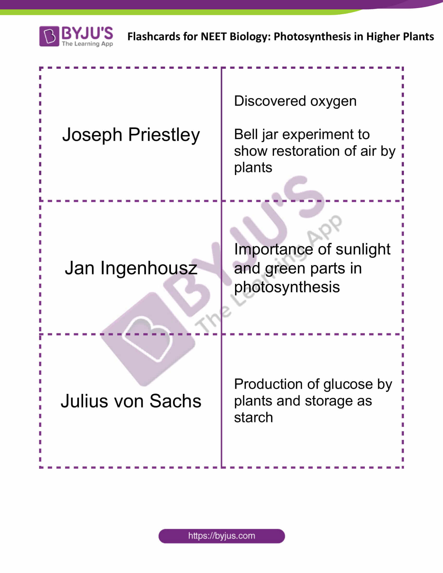 flashcards for neet biology photosynthesis in higher plants 1