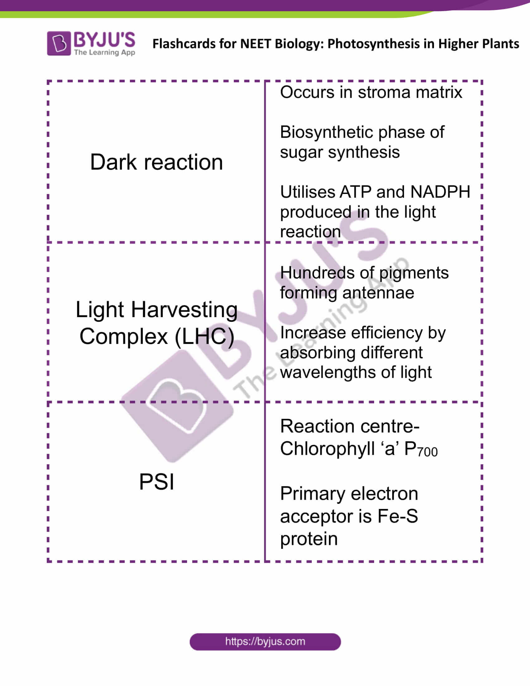 flashcards for neet biology photosynthesis in higher plants 3