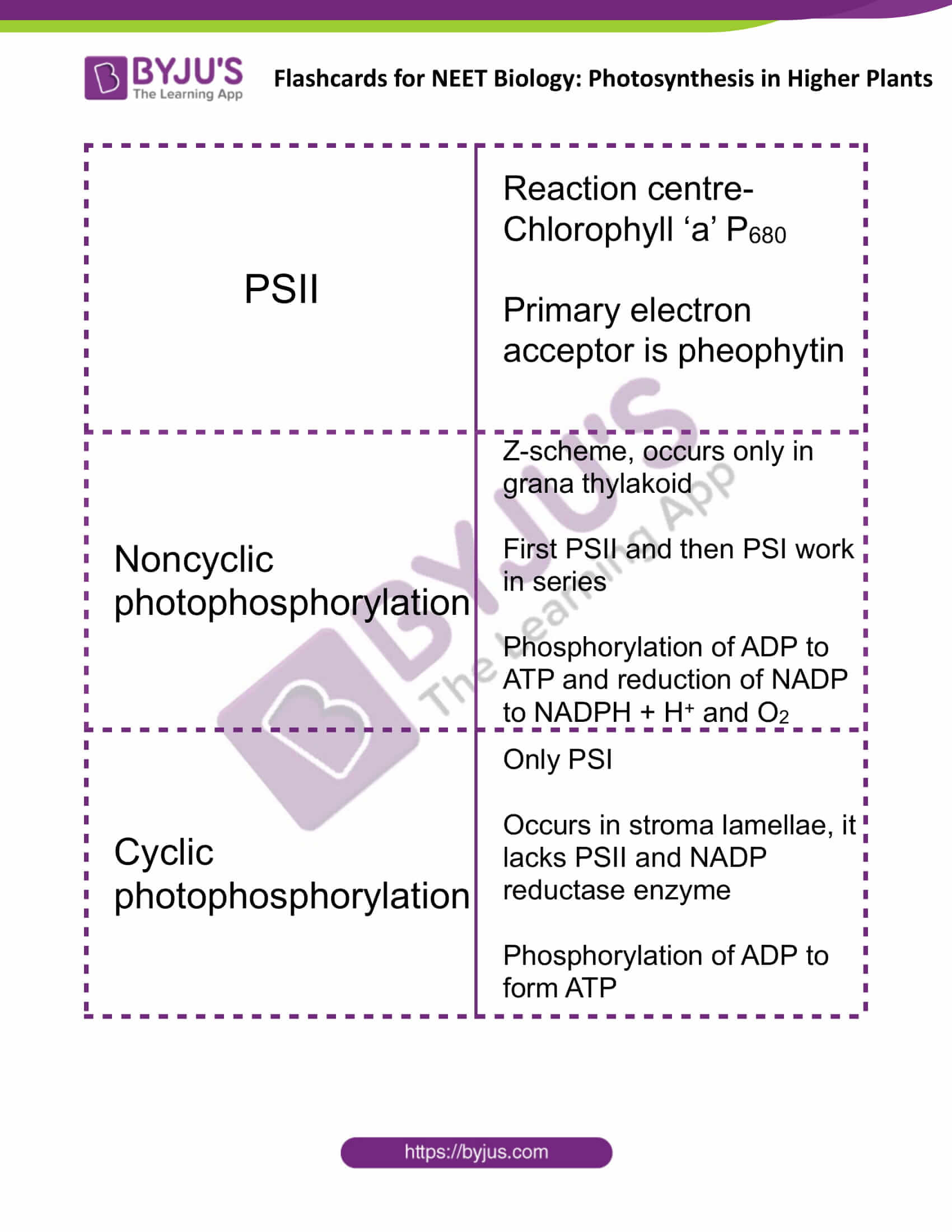 flashcards for neet biology photosynthesis in higher plants 4