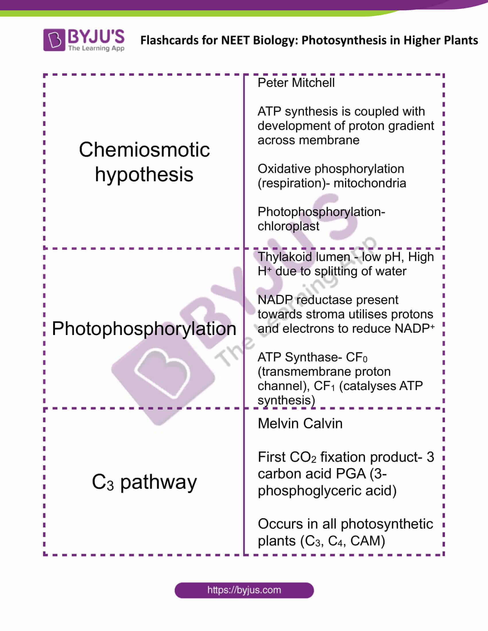 flashcards for neet biology photosynthesis in higher plants 5