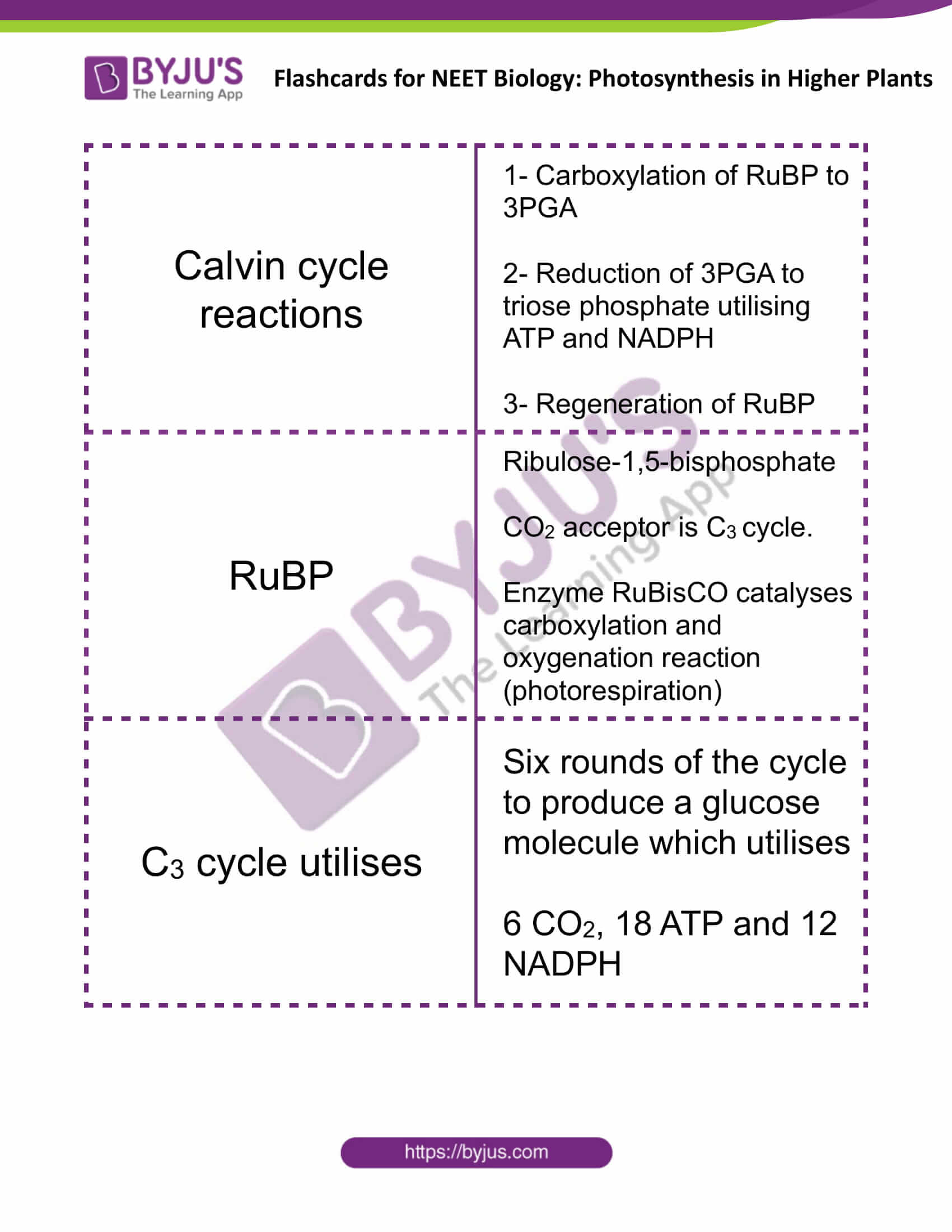 flashcards for neet biology photosynthesis in higher plants 6