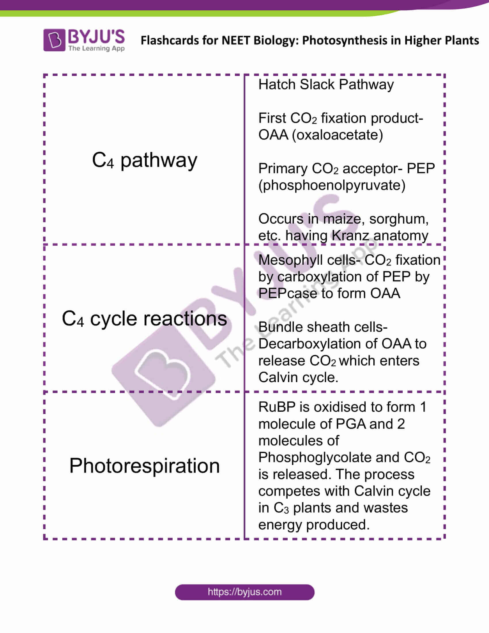 flashcards for neet biology photosynthesis in higher plants 7