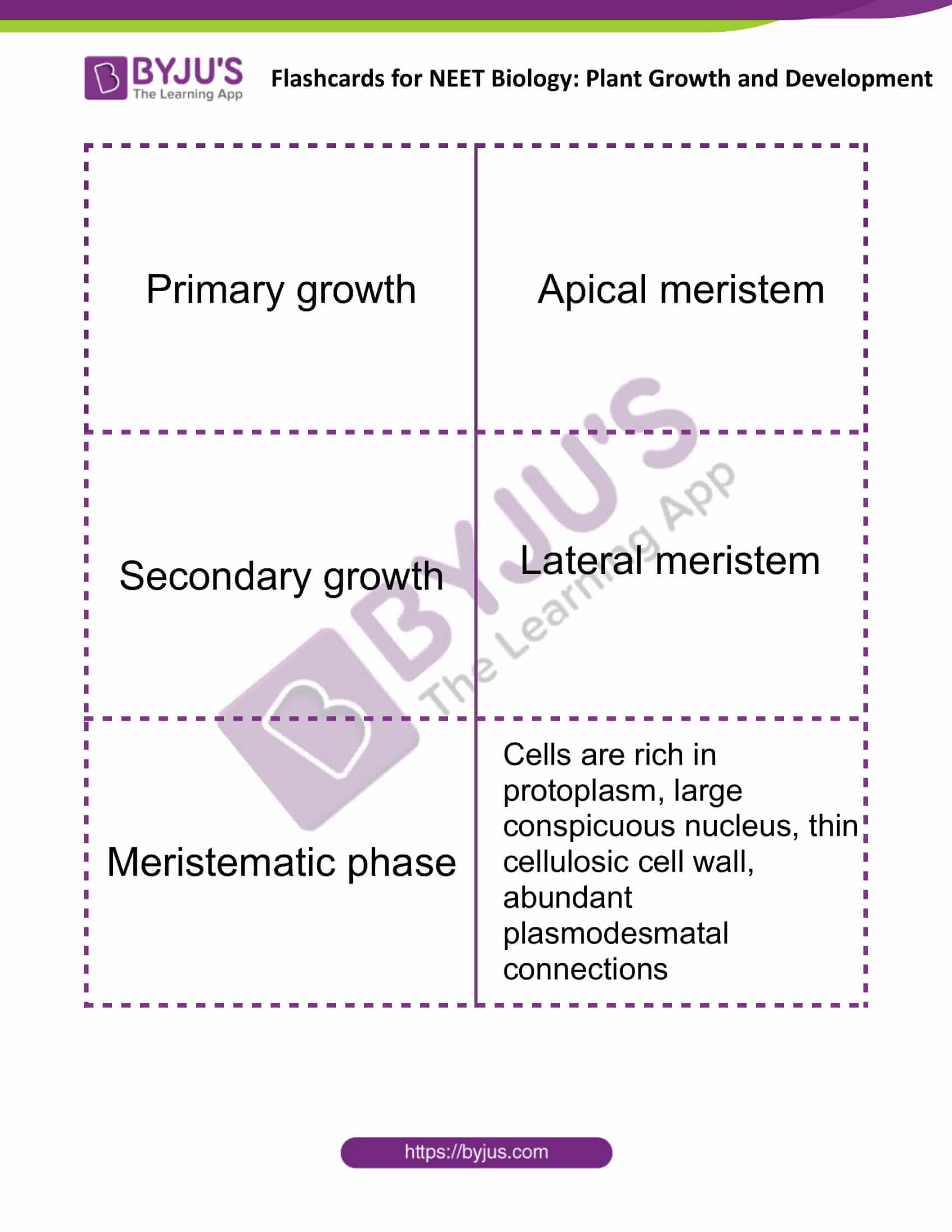 flashcards for neet biology plant growth and development 1