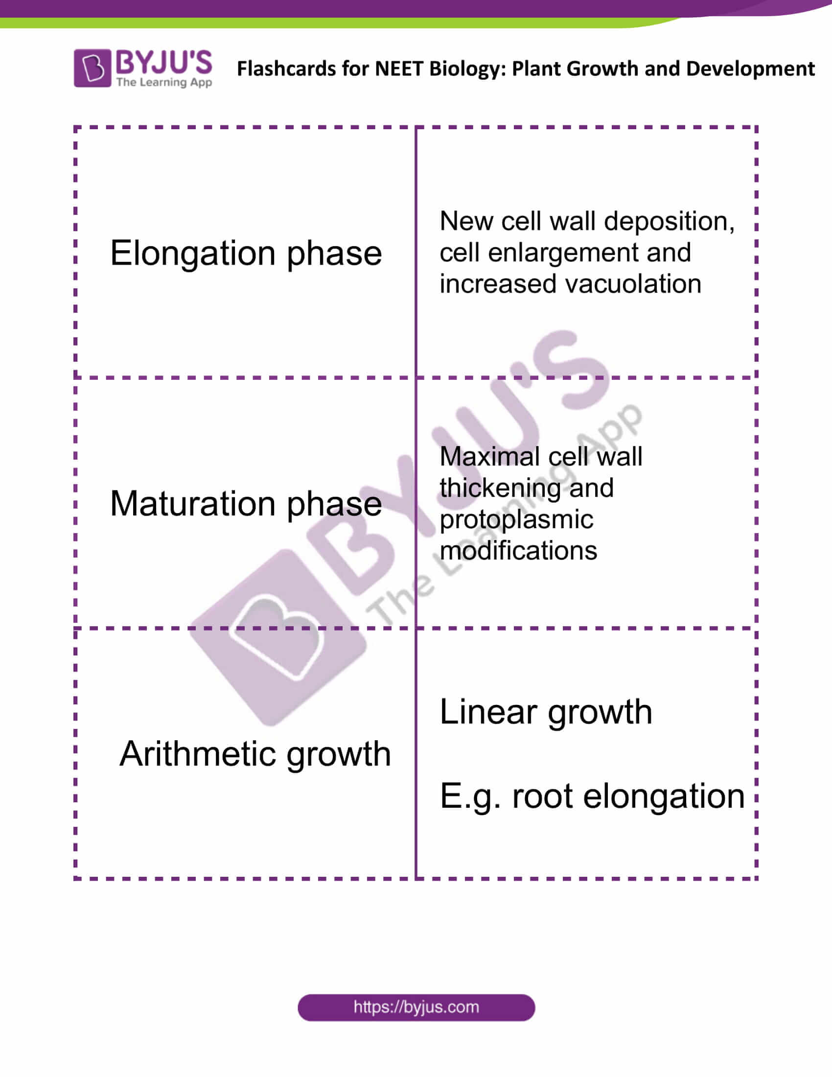 flashcards for neet biology plant growth and development 2