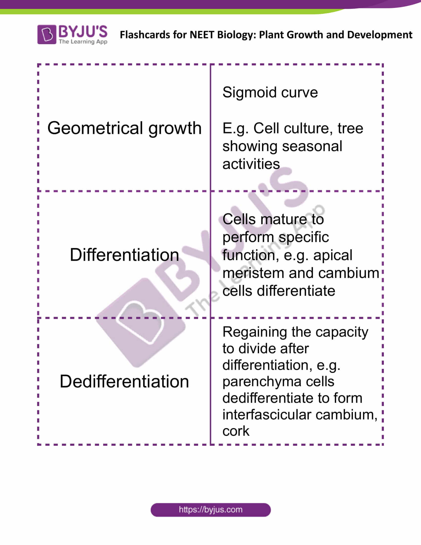 flashcards for neet biology plant growth and development 3