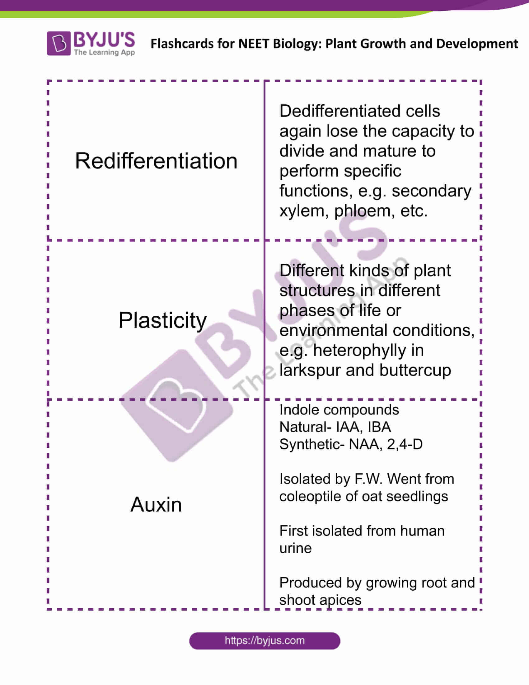 flashcards for neet biology plant growth and development 4