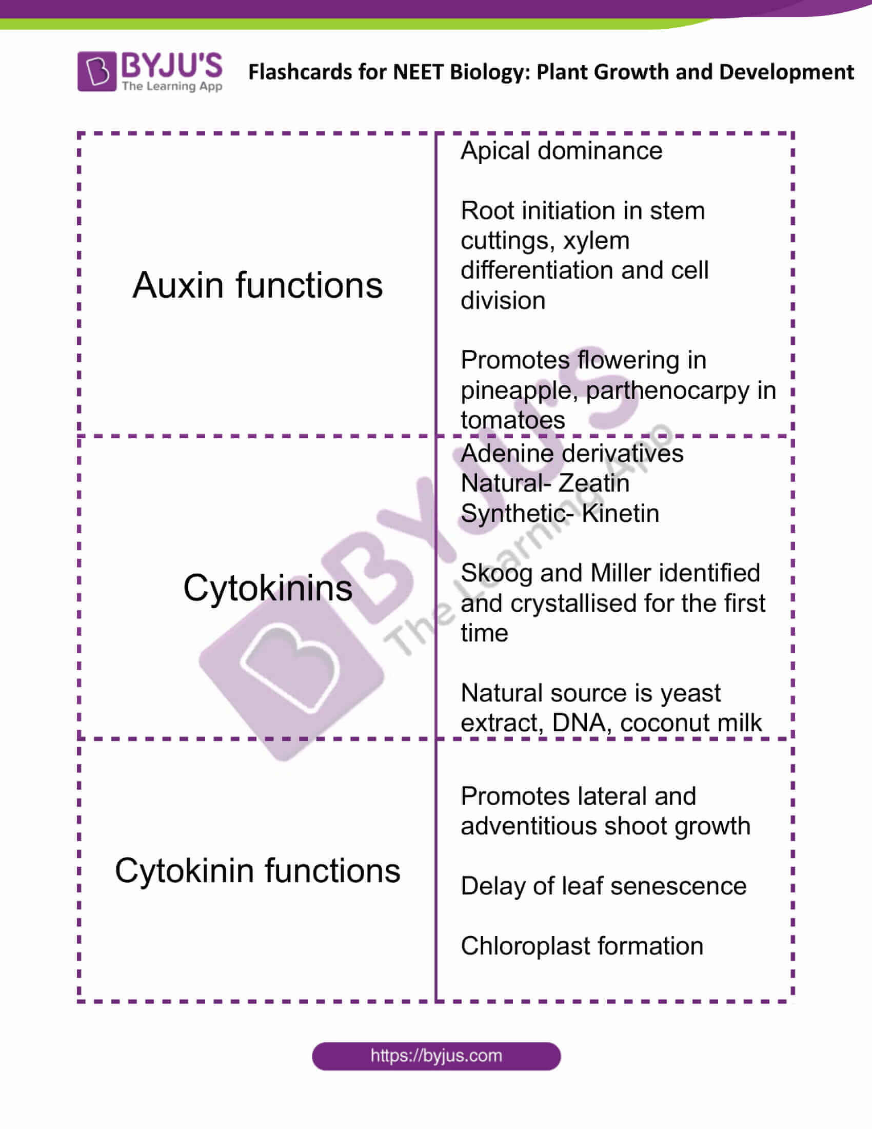 flashcards for neet biology plant growth and development 5