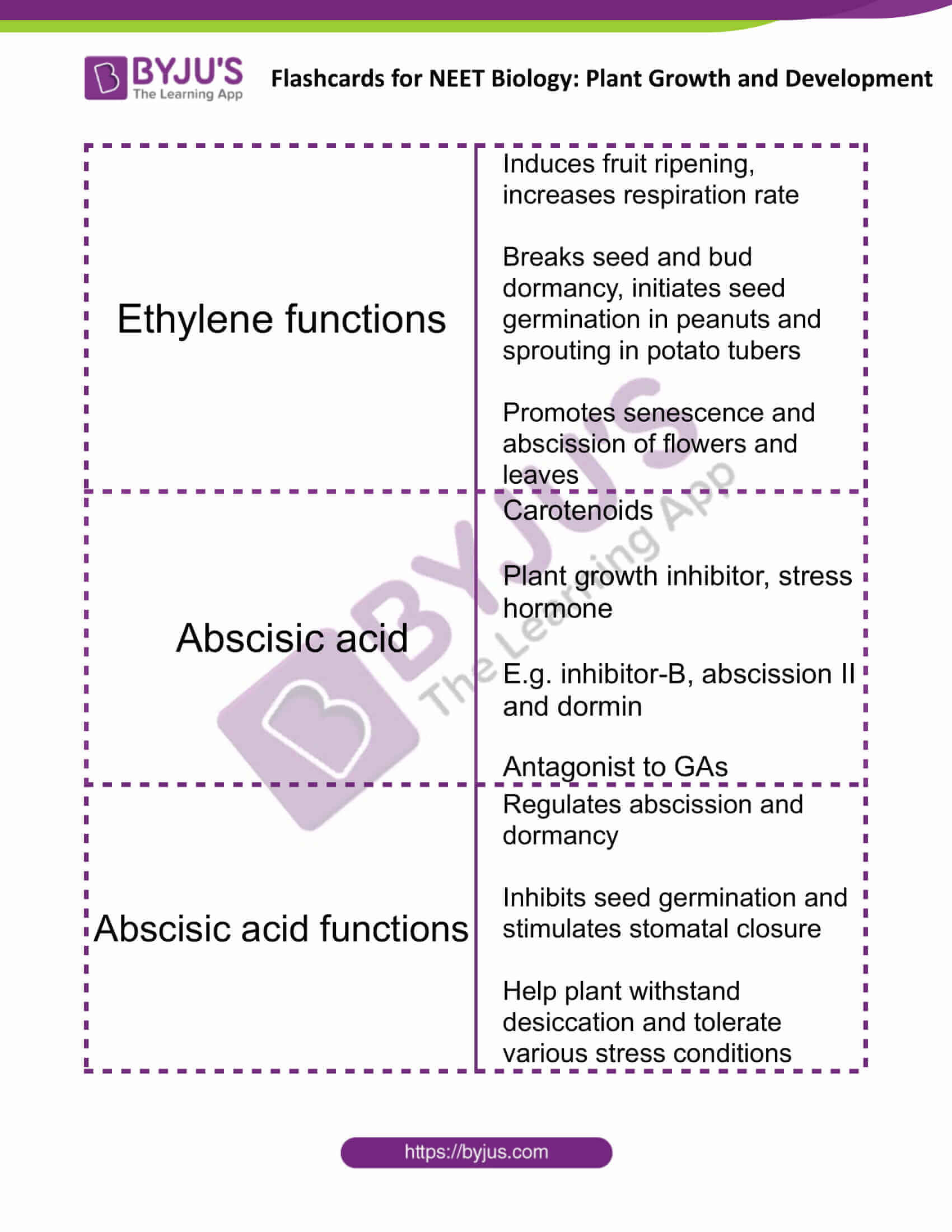 flashcards for neet biology plant growth and development 7