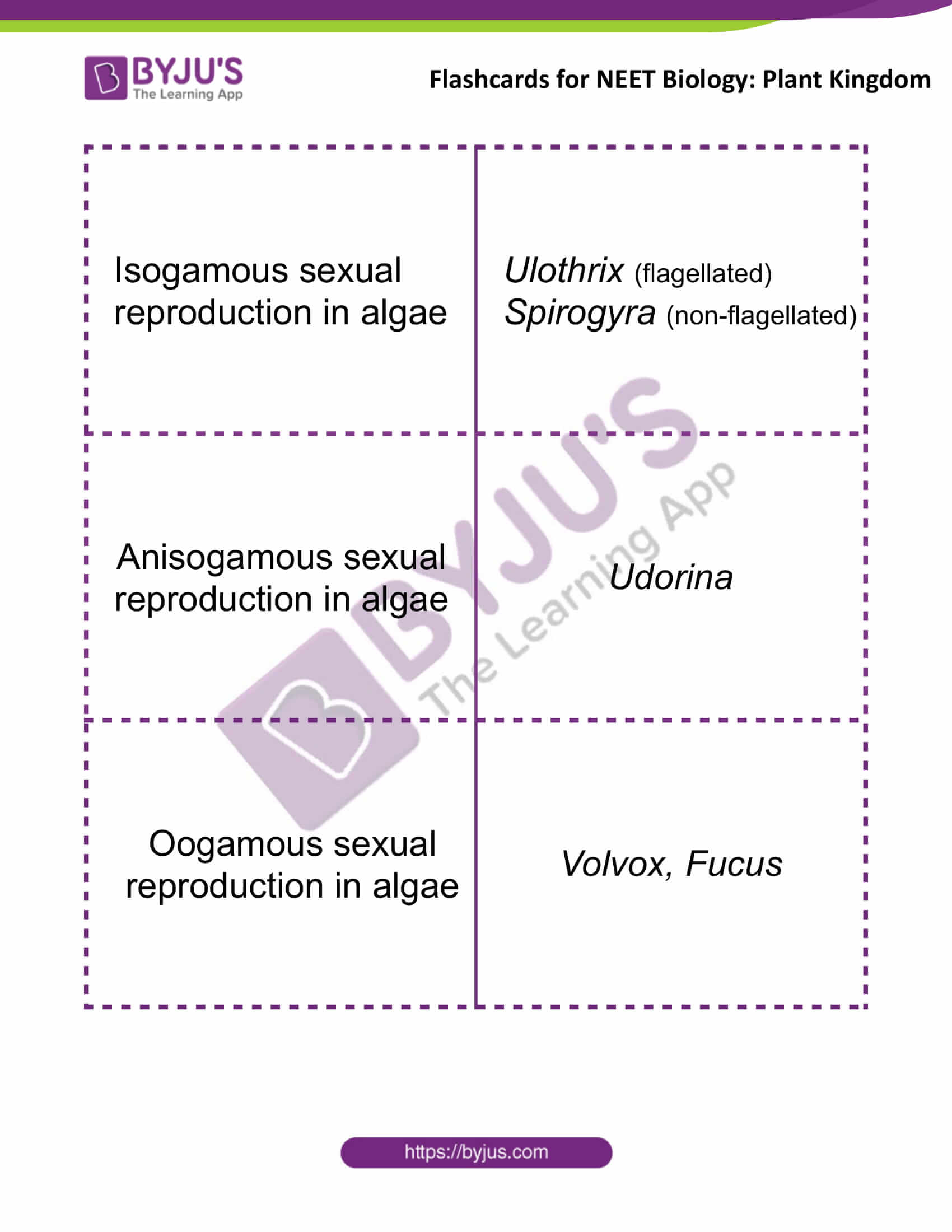 flashcards for neet biology plant kingdom 1