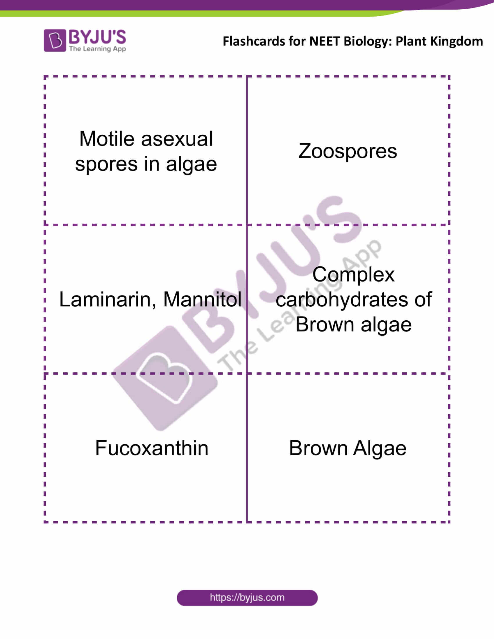 flashcards for neet biology plant kingdom 3