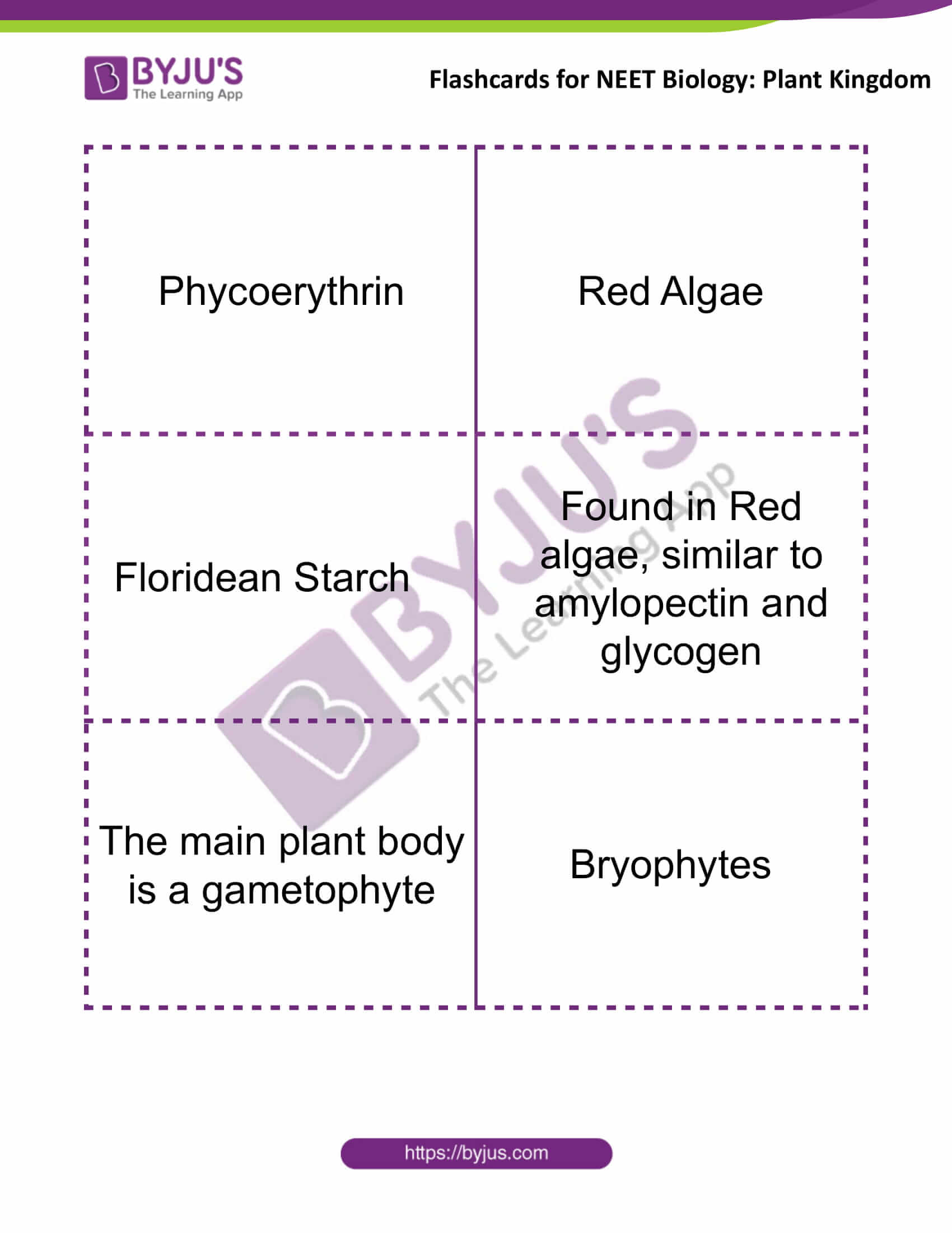 flashcards for neet biology plant kingdom 4