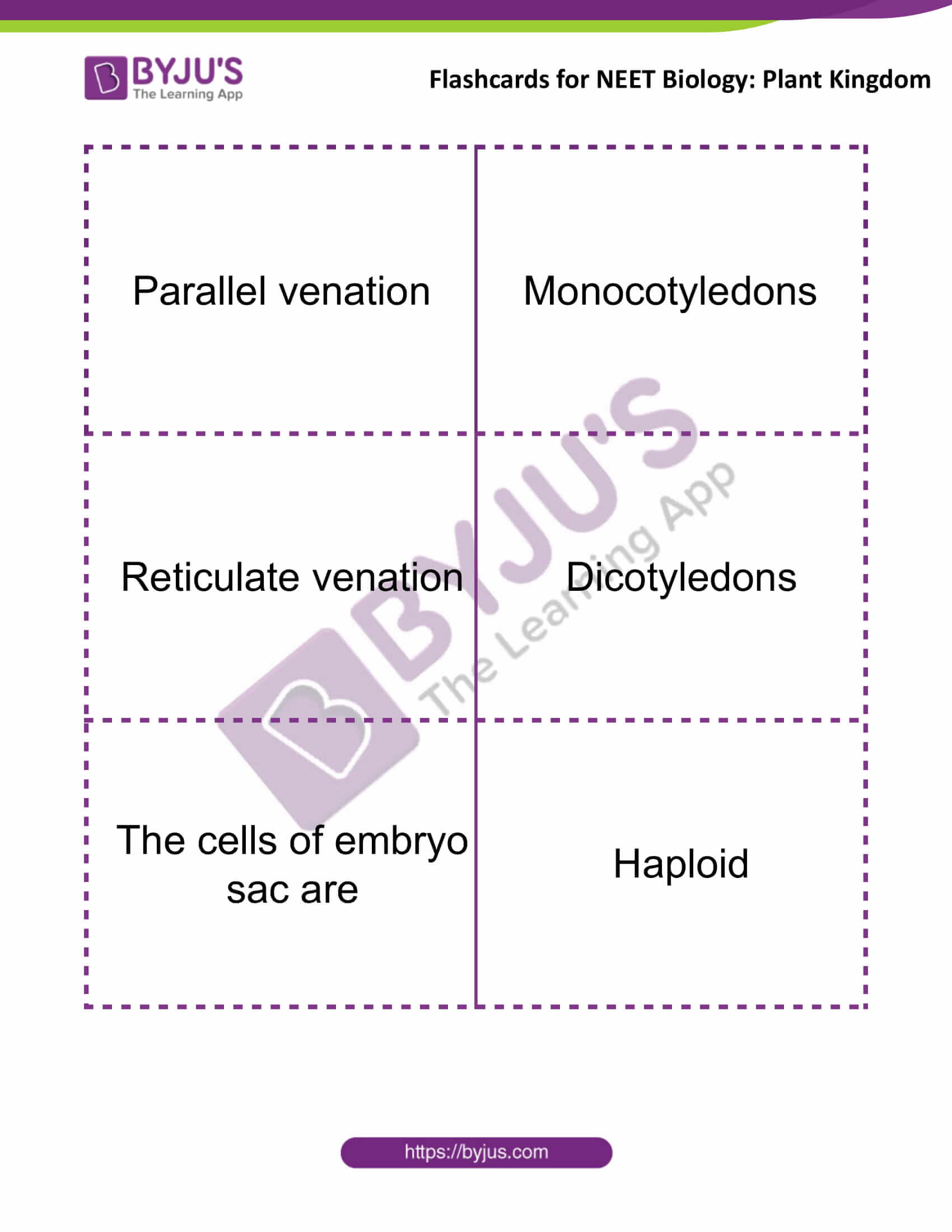 flashcards for neet biology plant kingdom 8