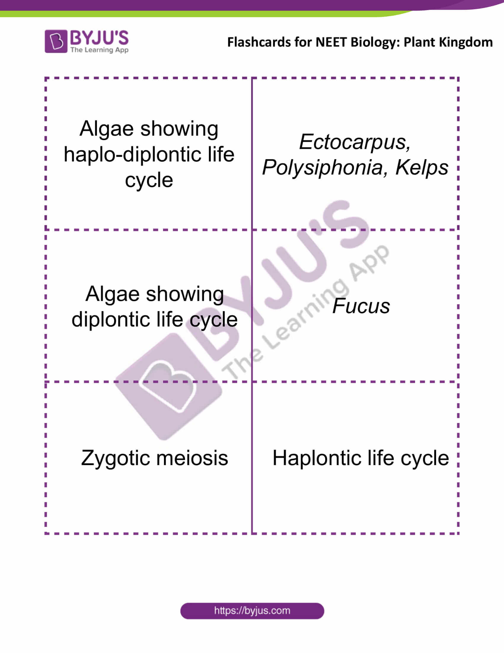 flashcards for neet biology plant kingdom 9