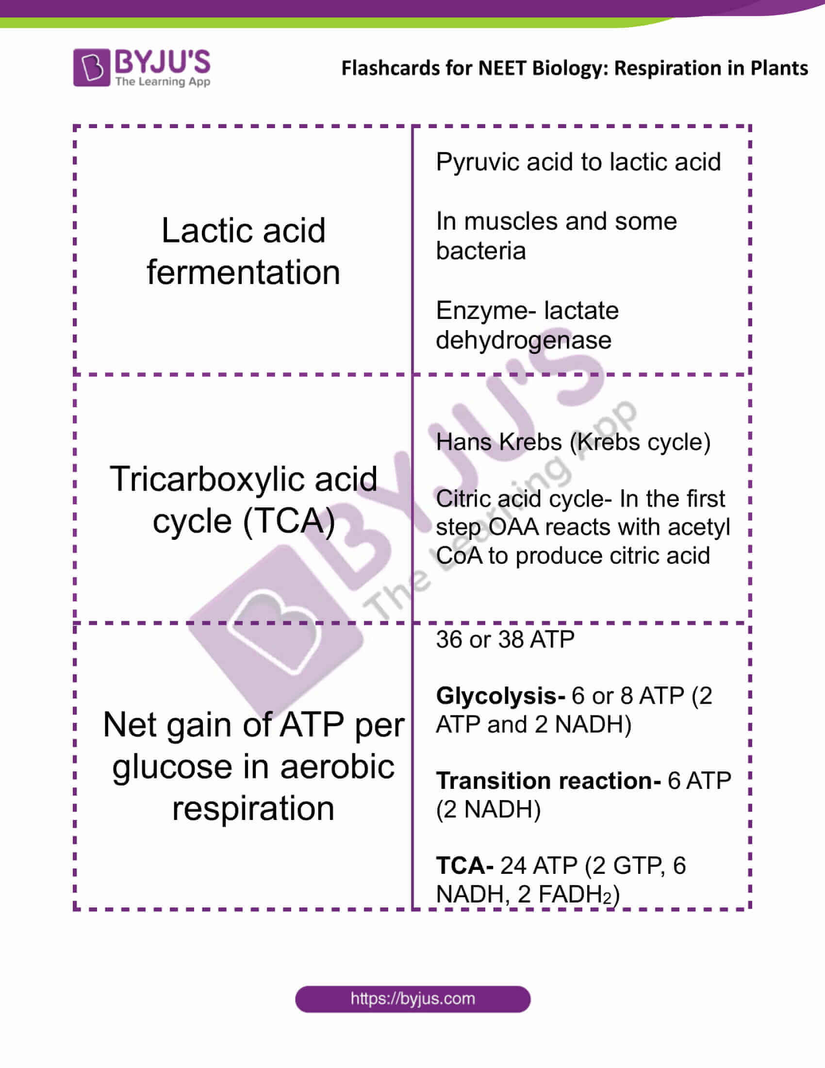 flashcards for neet biology respiration in plants 2