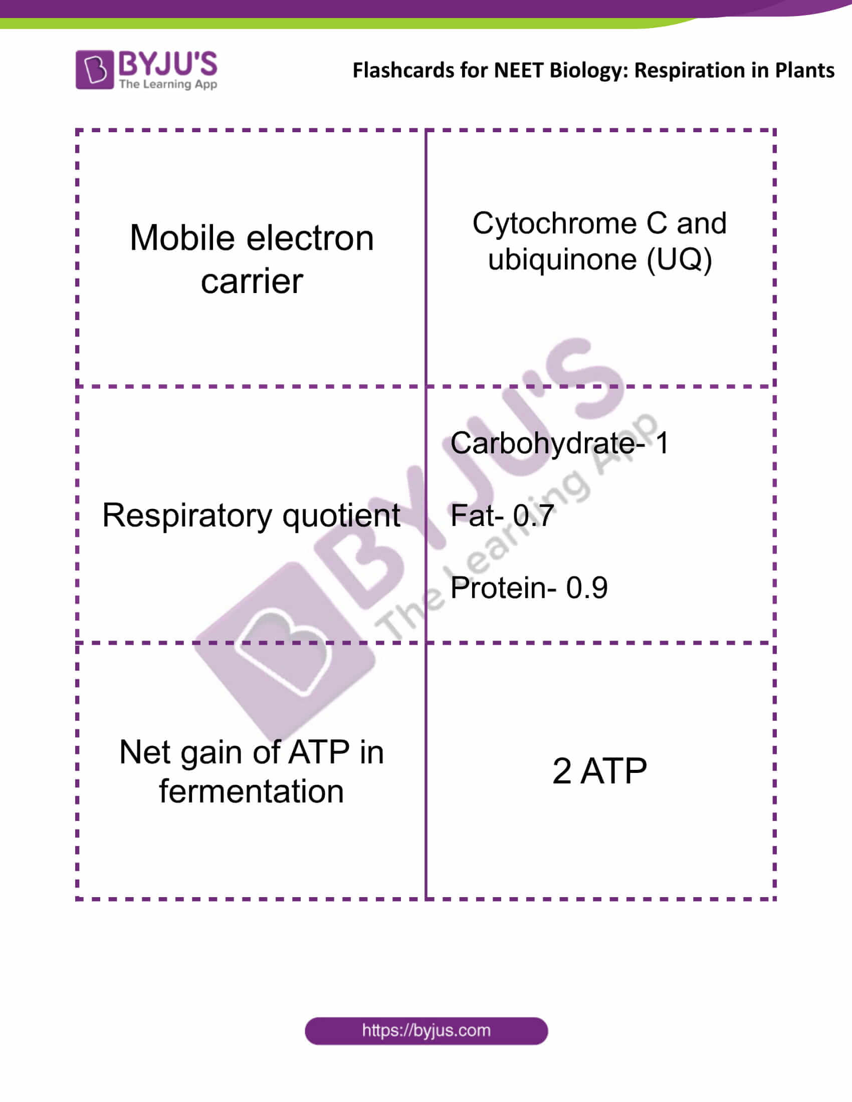 flashcards for neet biology respiration in plants 4