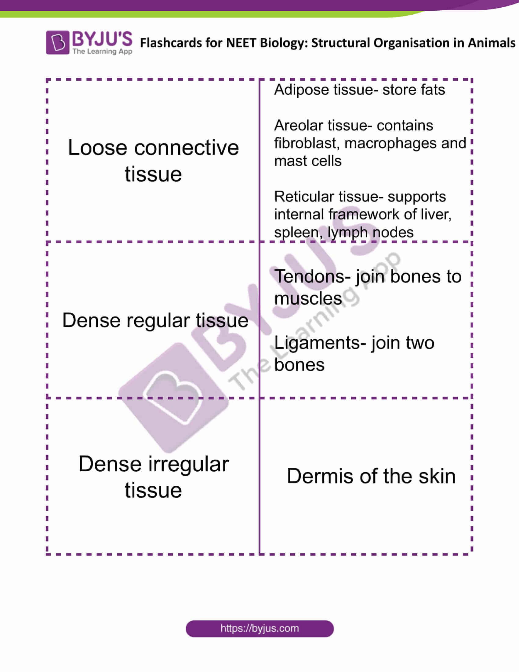 flashcards for neet biology structural organisation in animals 5