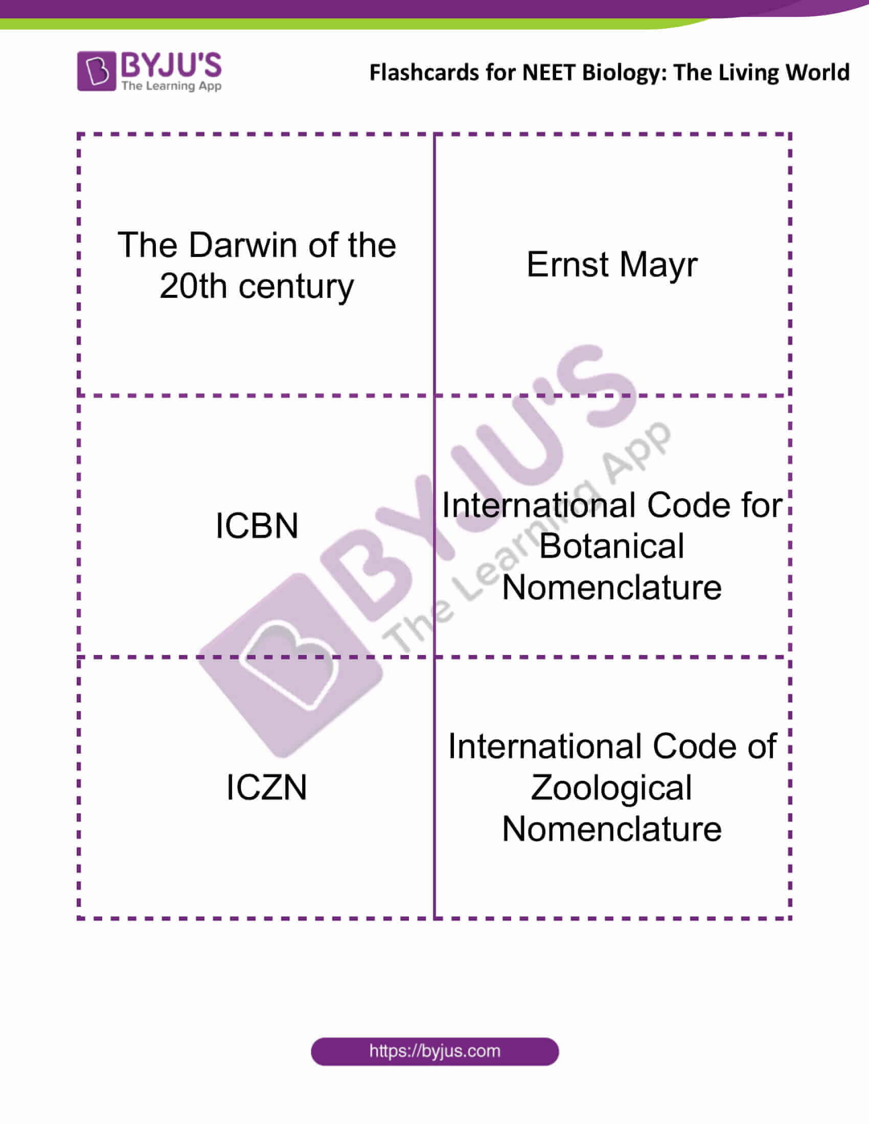 Flashcards for Bio NEET The Living World 1