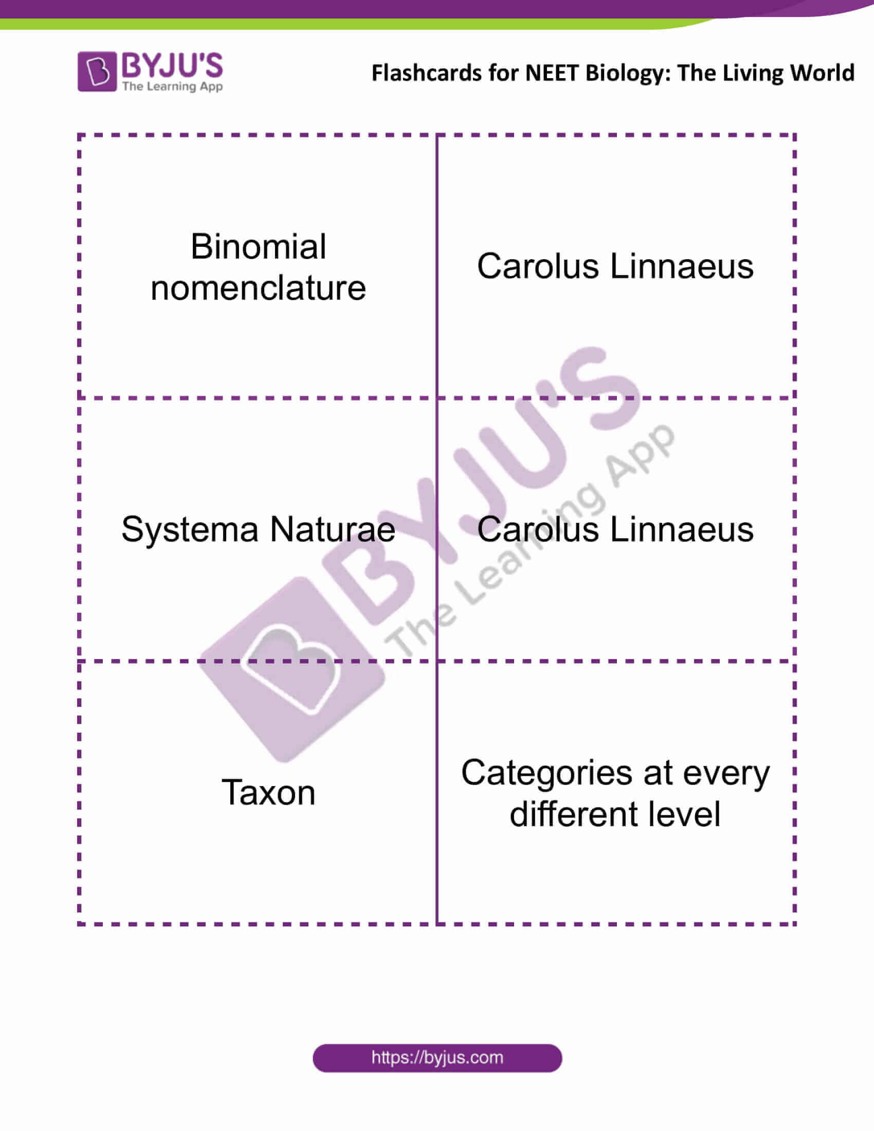 Flashcards for Bio NEET The Living World 2