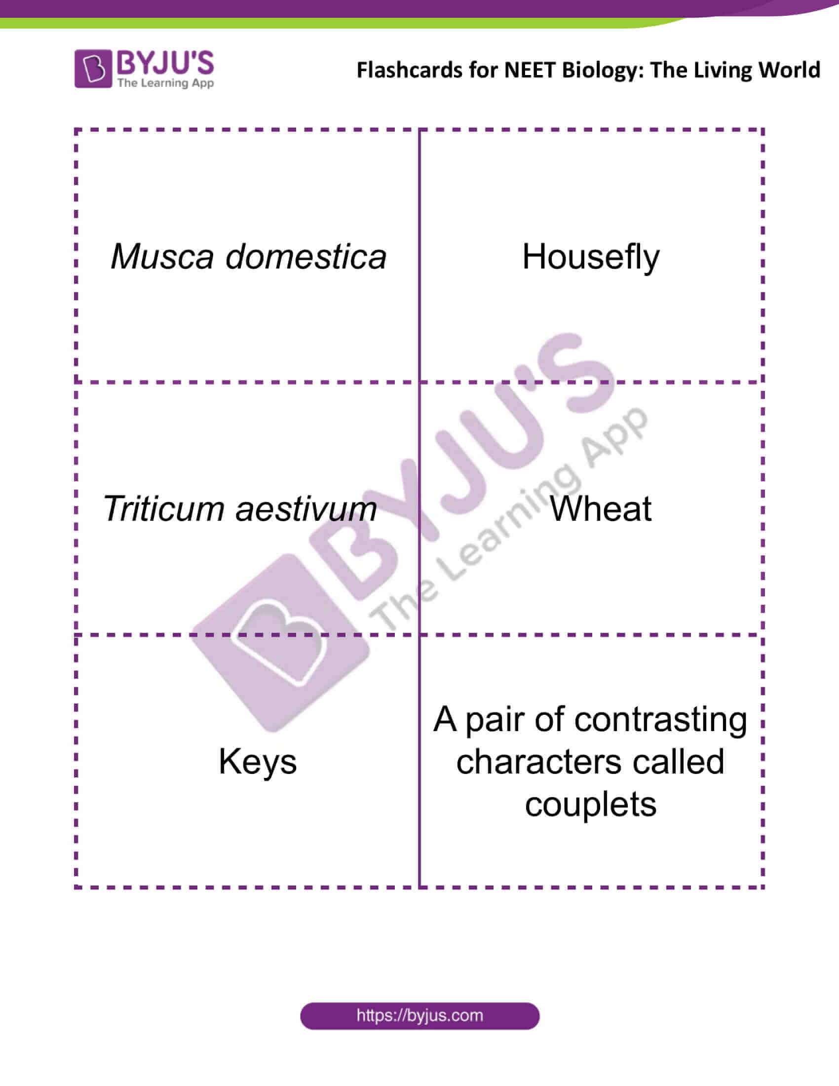 Flashcards for Bio NEET The Living World 3