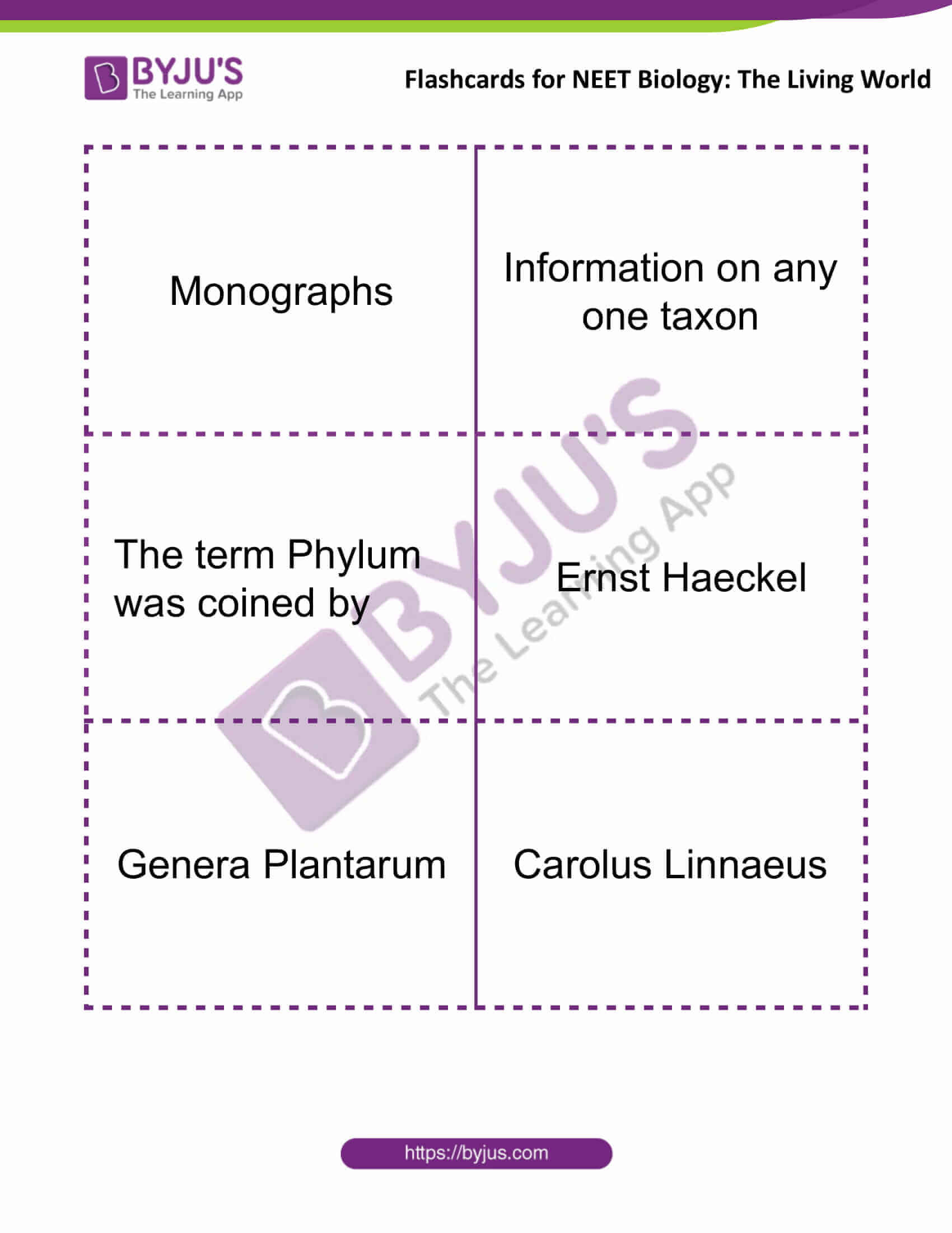 Flashcards for Bio NEET The Living World 4