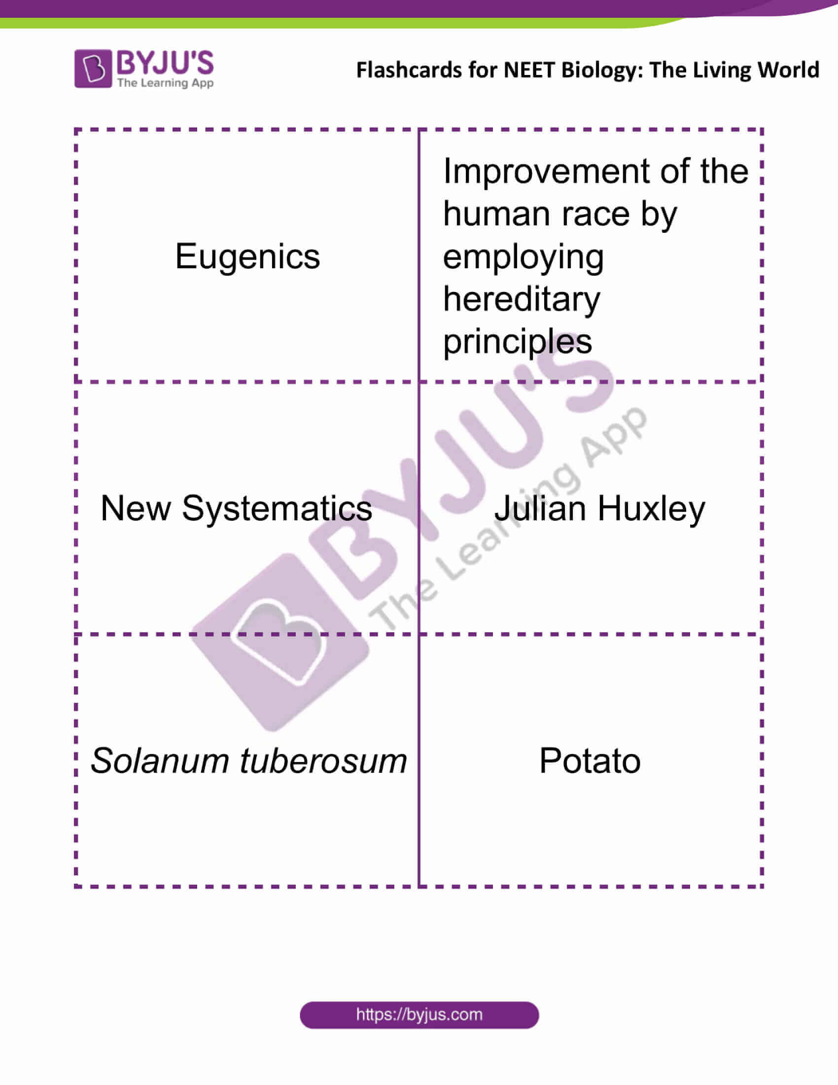 Flashcards for Bio NEET The Living World 5