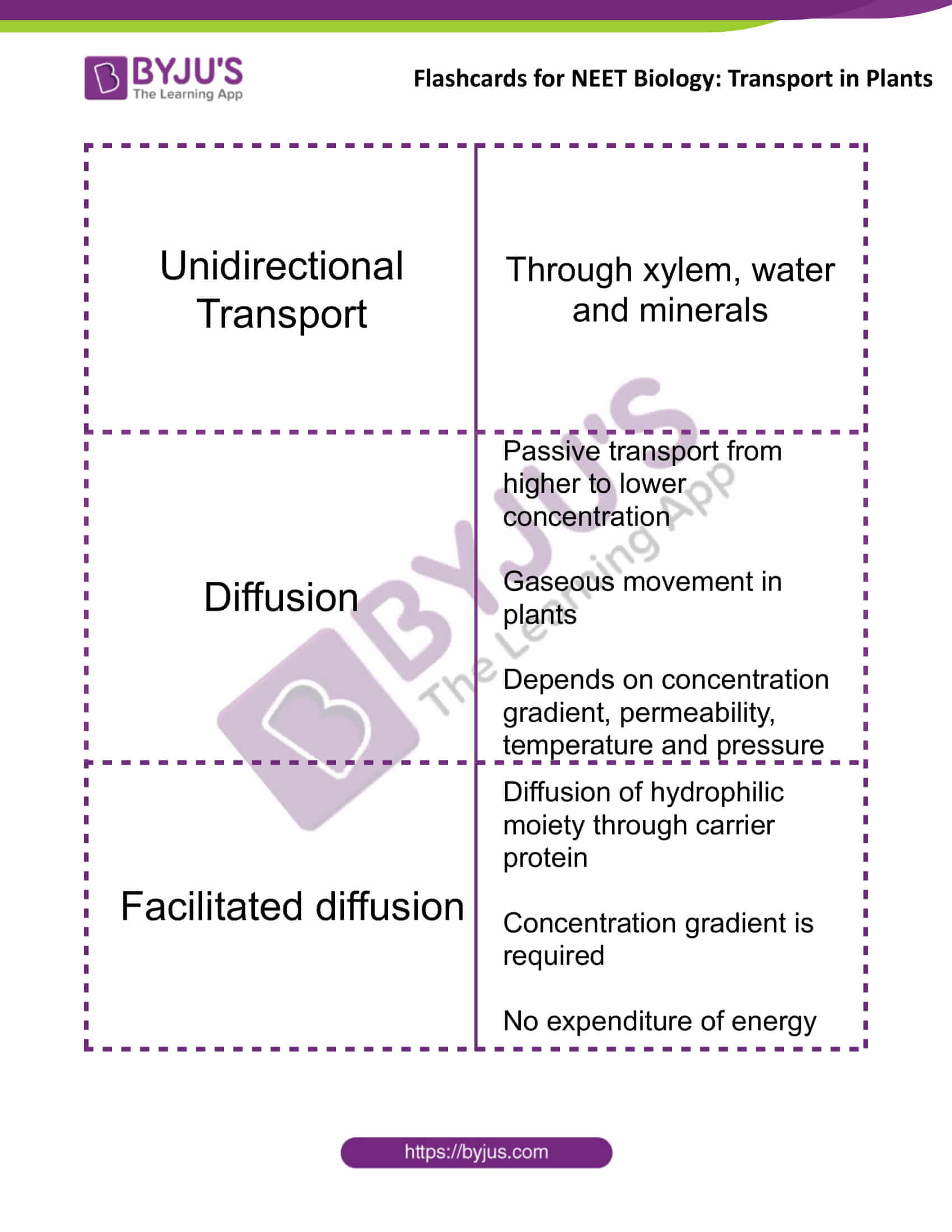 flashcards for neet biology transport in plants 2