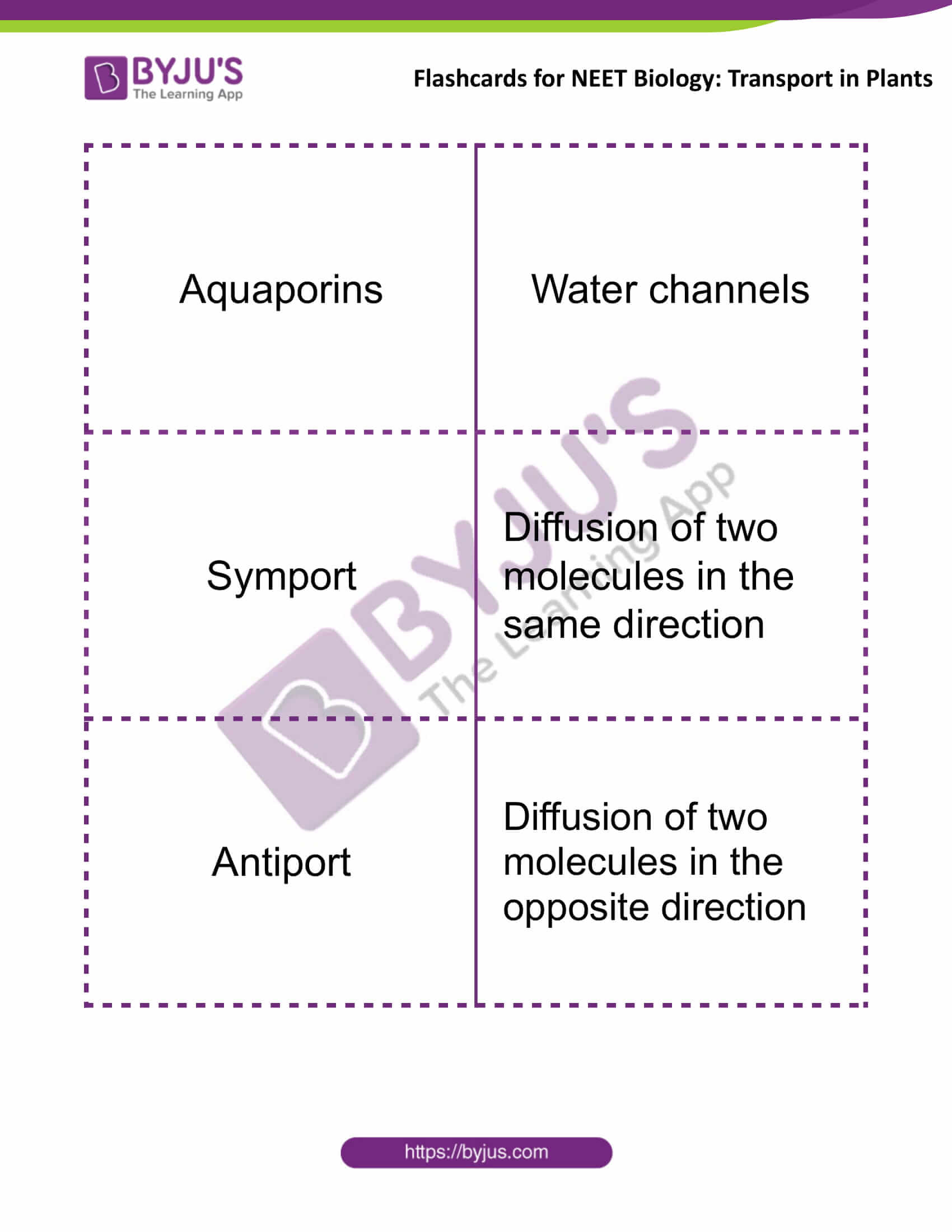 flashcards for neet biology transport in plants 3