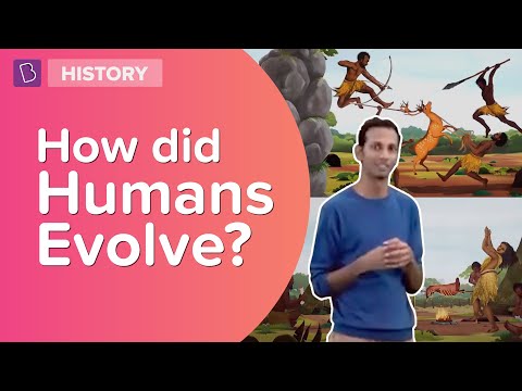 write an essay on origin and evolution of man