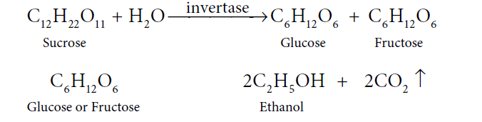 TN Board Class 10 Science 2017 Question Paper Part-III Question 53 (iii) Solution