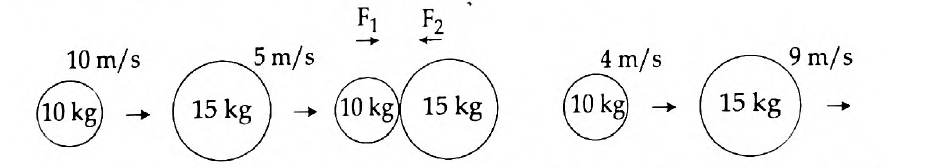 TN Board Class 10 Science 2017 Question Paper Part-IV Question 54-1