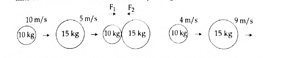 TN Board Class 10 Science 2017 Question Paper Part-IV Question 54-2