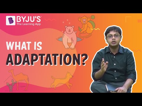 Adaptation - Meaning, Plant & Animal Adaptations