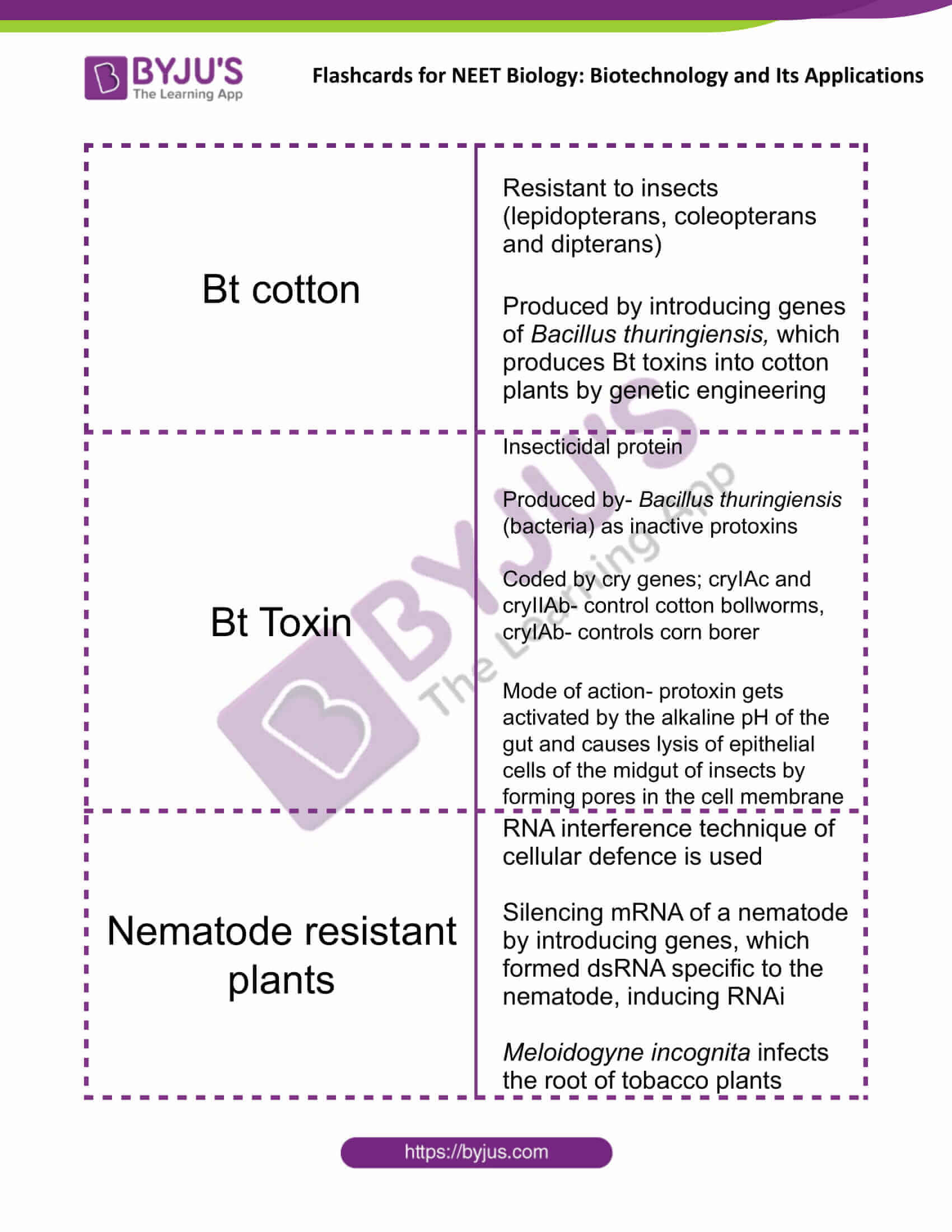 class 12 biotechnology and its applications 1