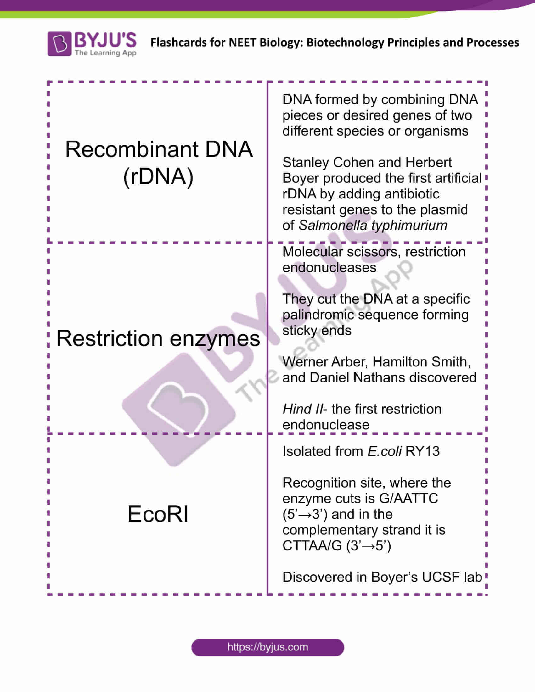 class 12 biotechnology principles and processes 2