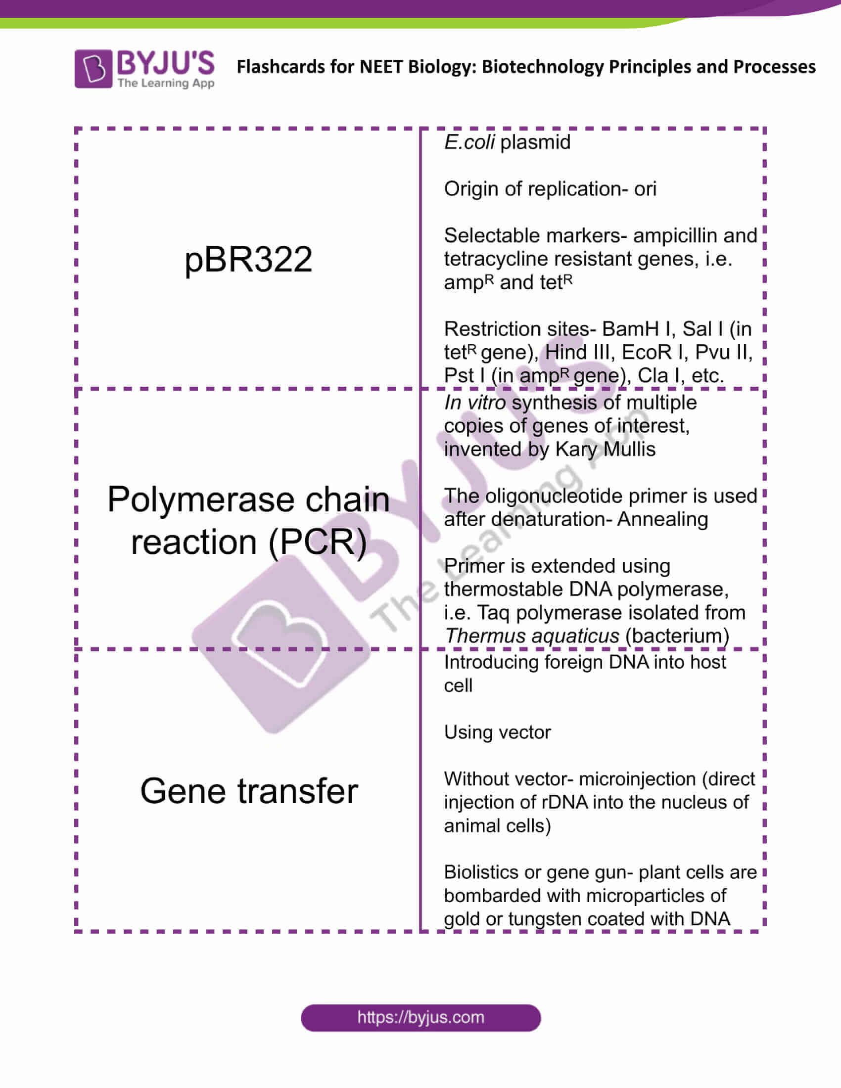 class 12 biotechnology principles and processes 4