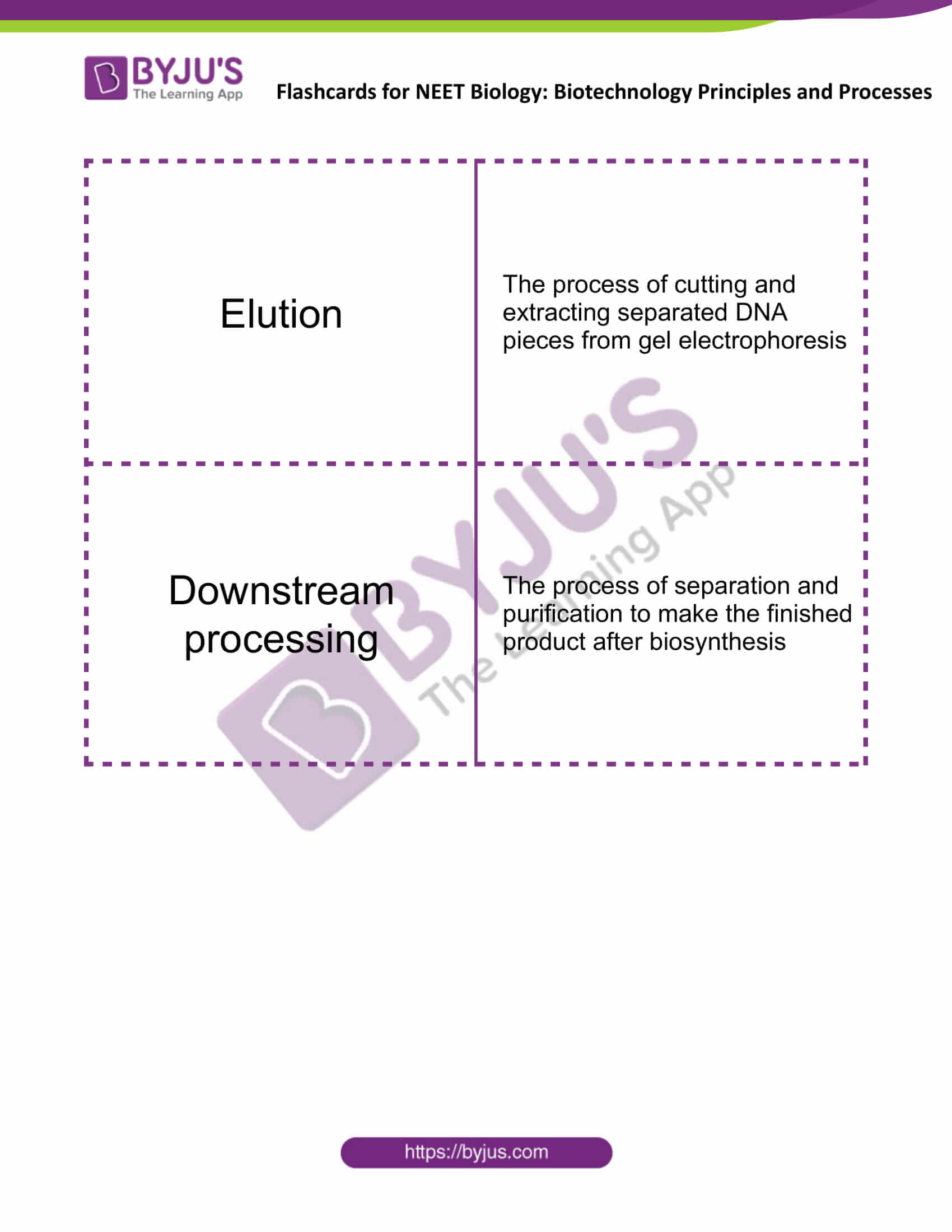 class 12 biotechnology principles and processes 5