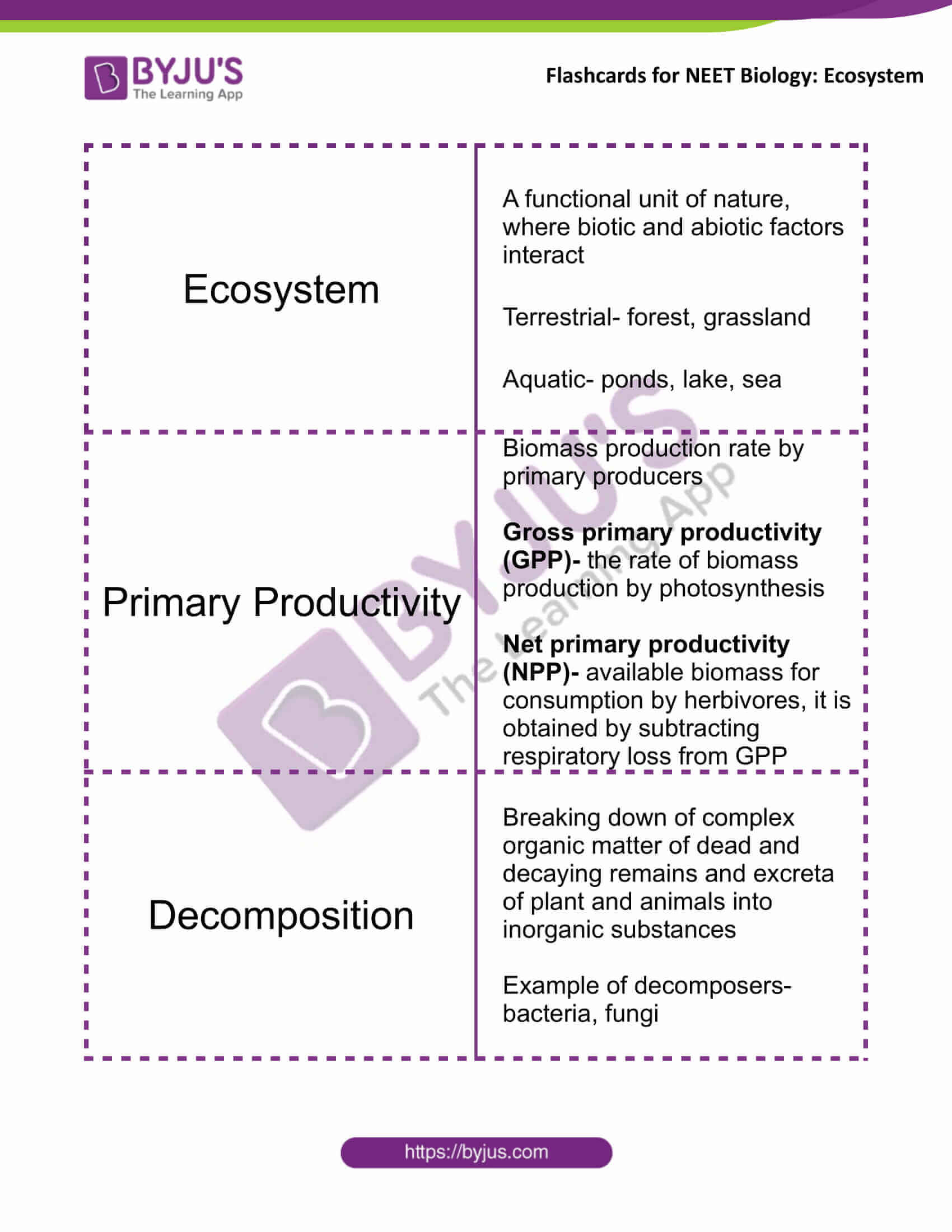 class 12 ecosystem 1