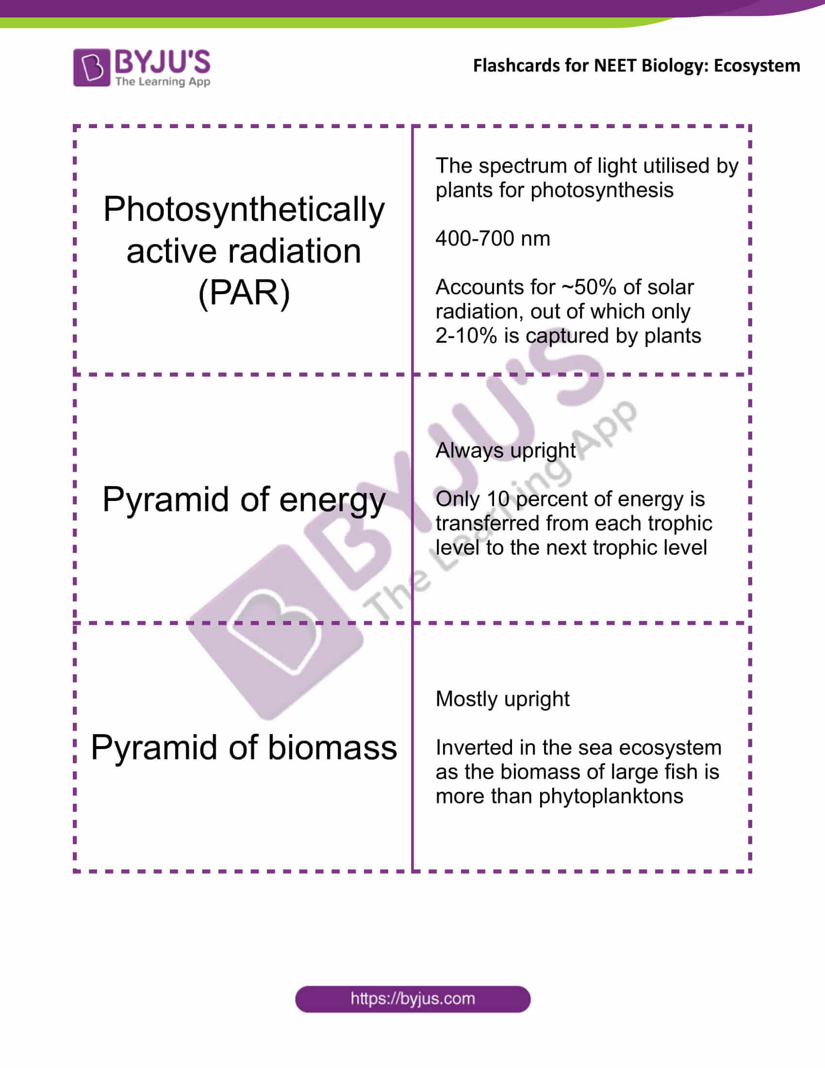 class 12 ecosystem 2