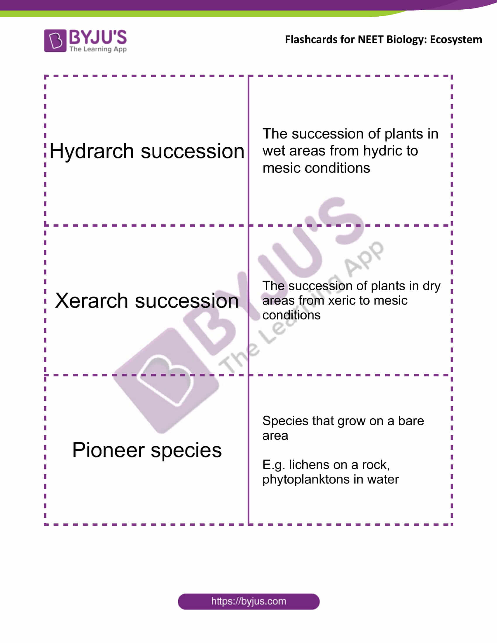 class 12 ecosystem 4