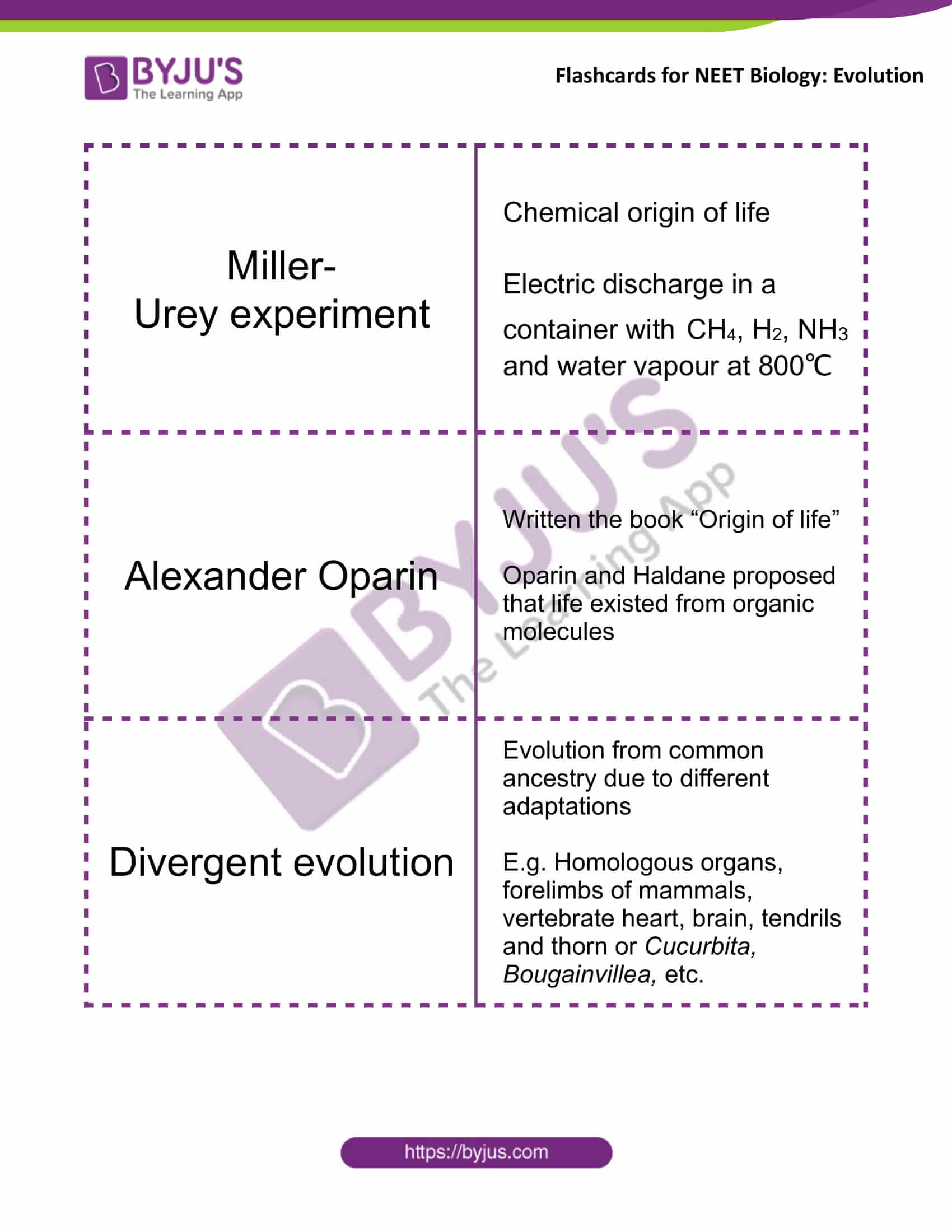 evolution class 12