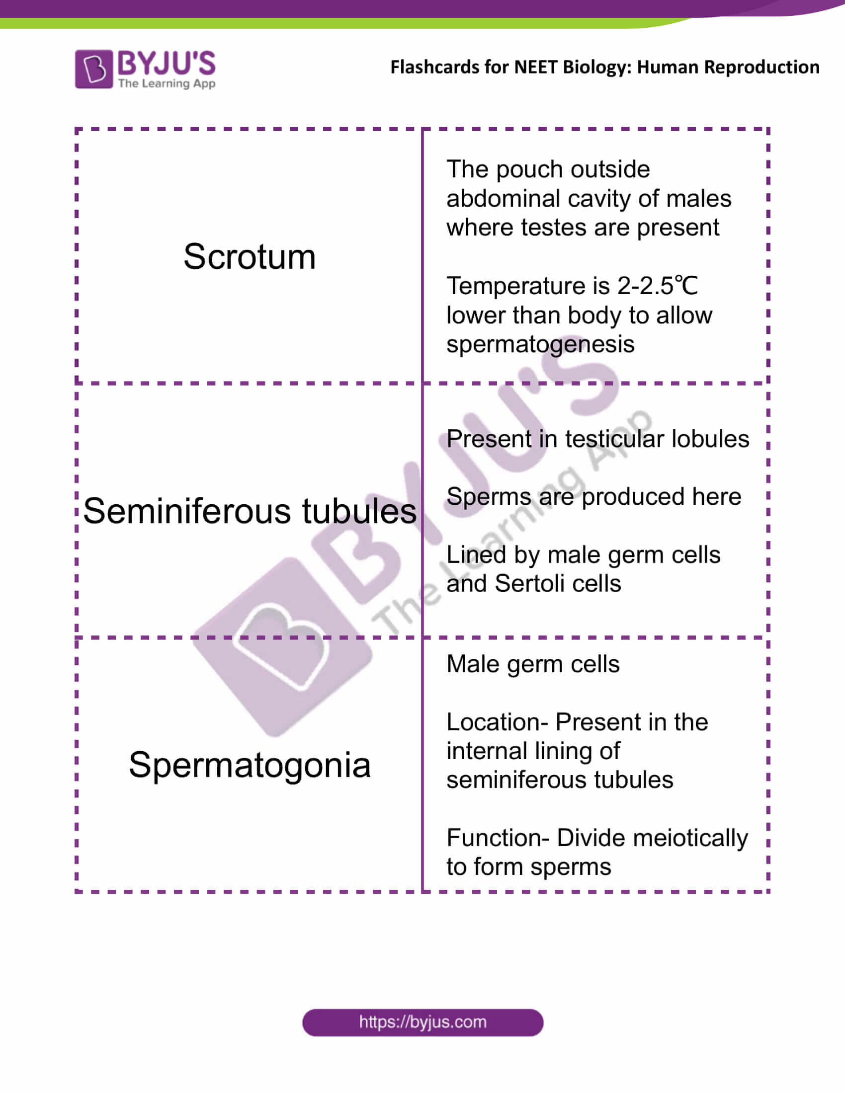 class 12 human reproduction 01