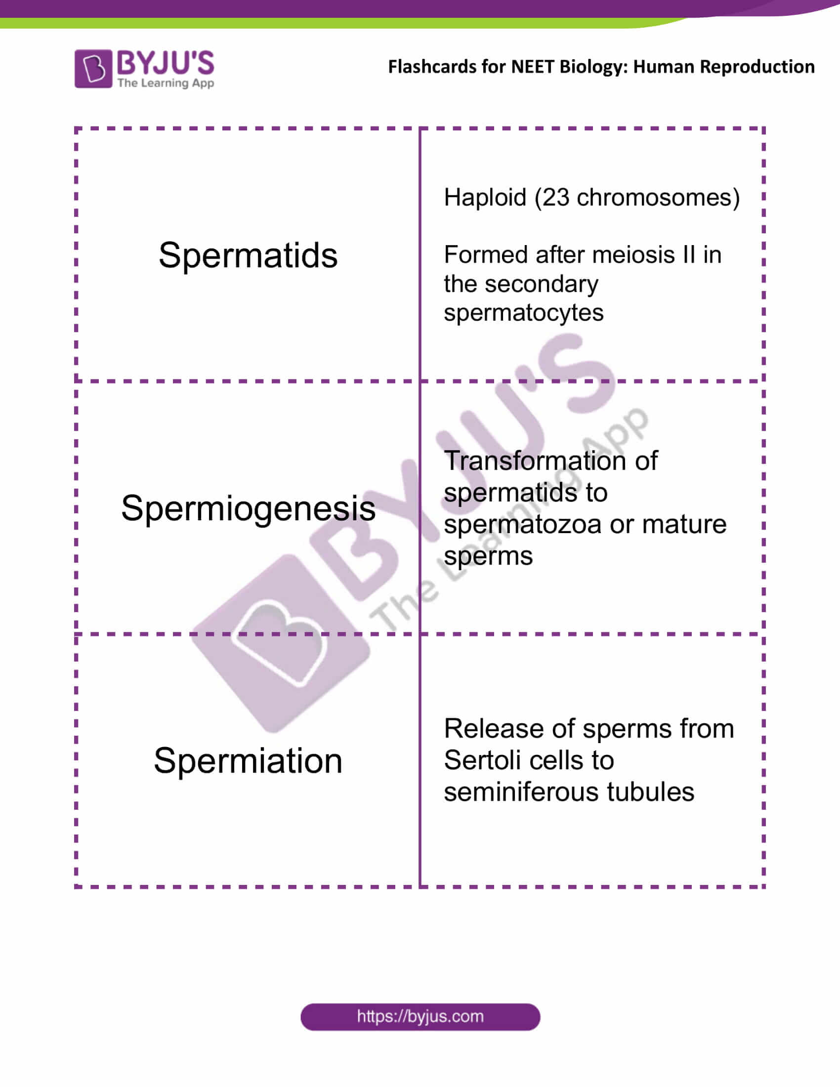 class 12 human reproduction 06