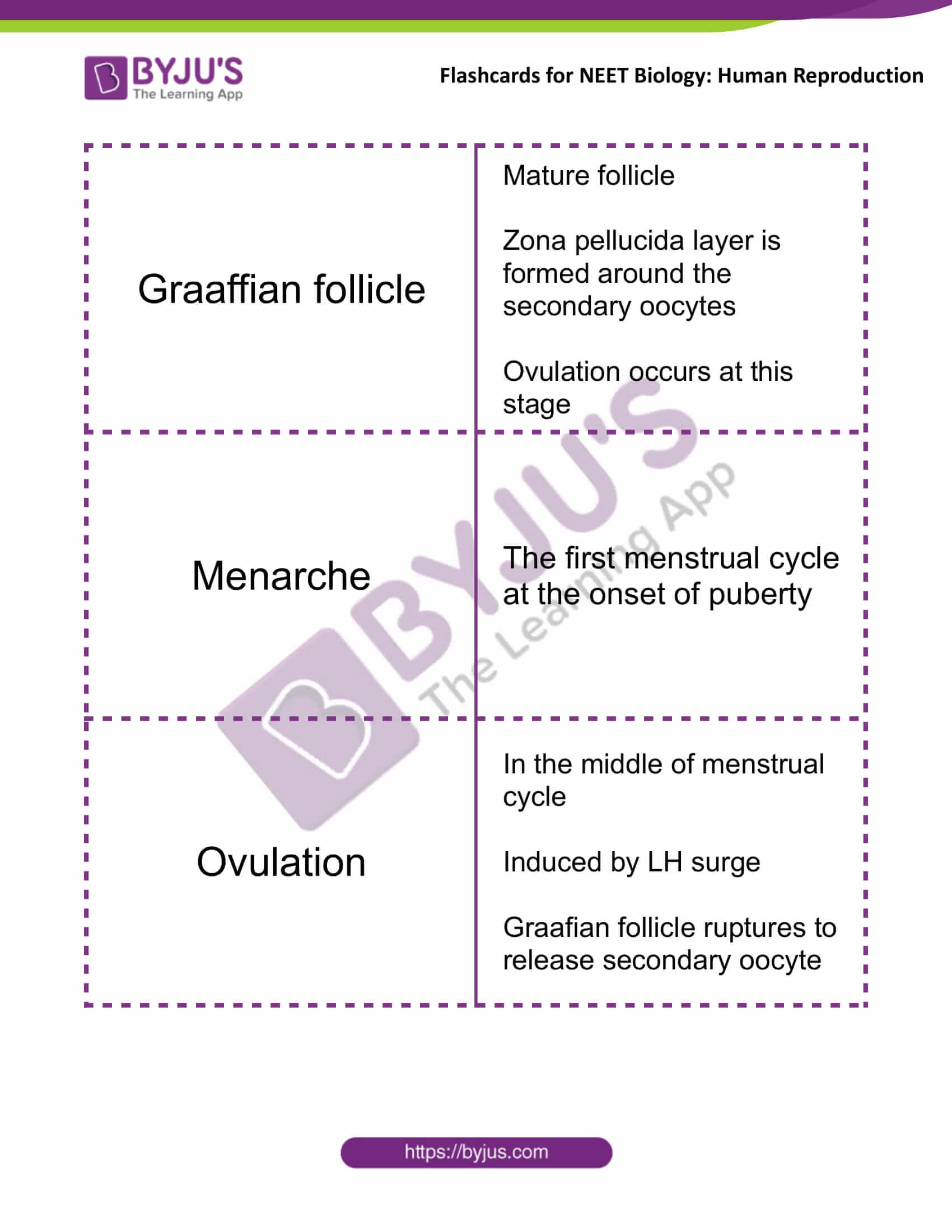 class 12 human reproduction 09