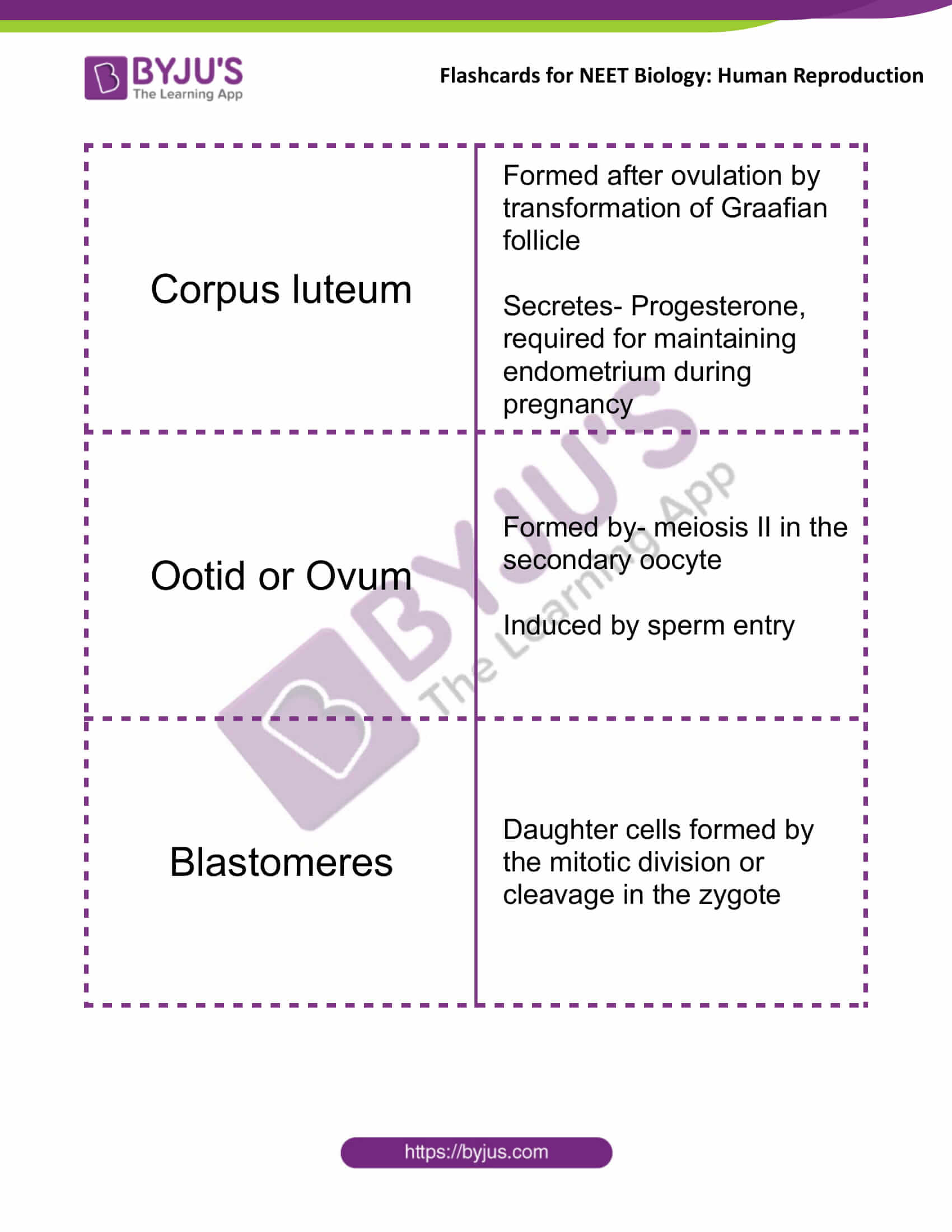 class 12 human reproduction 10