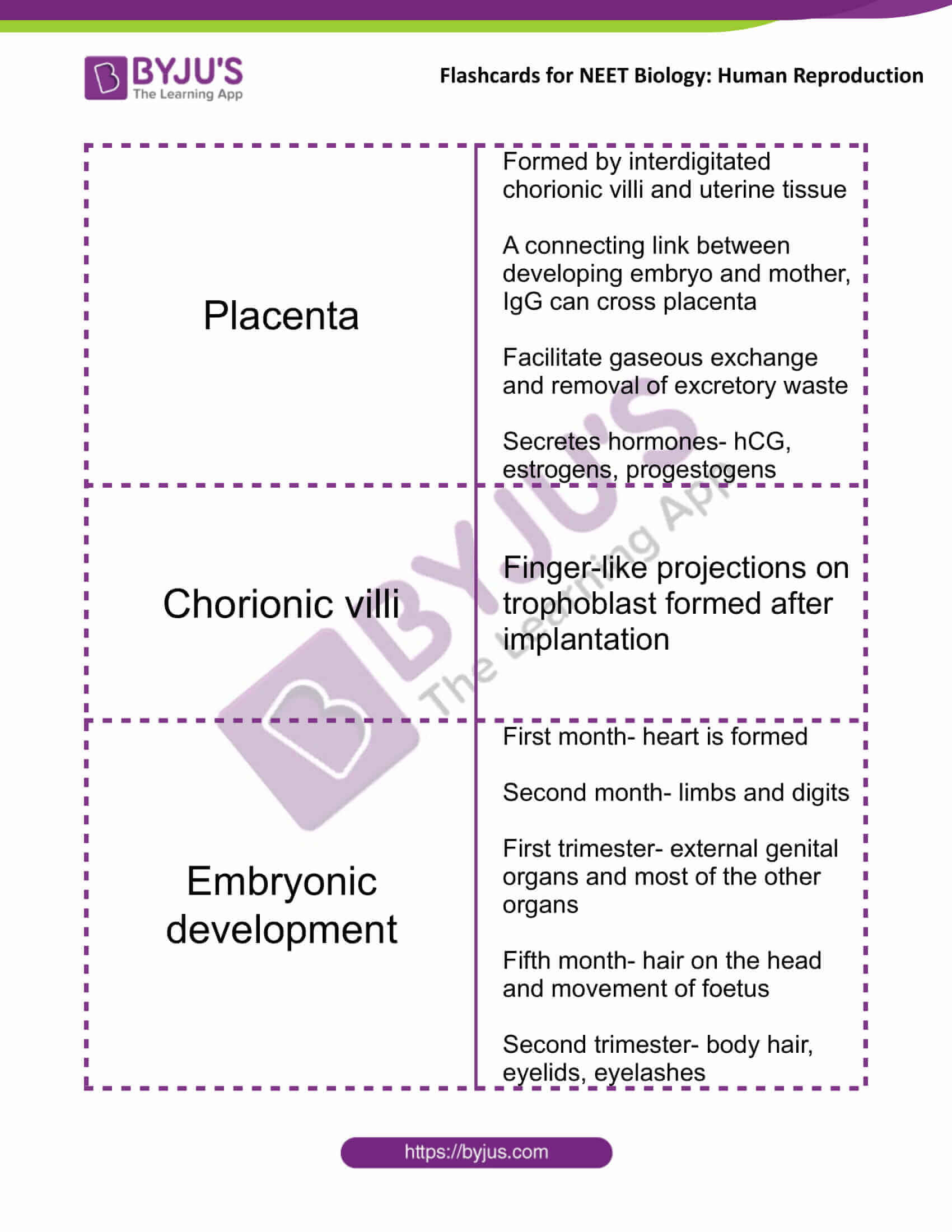 class 12 human reproduction 12