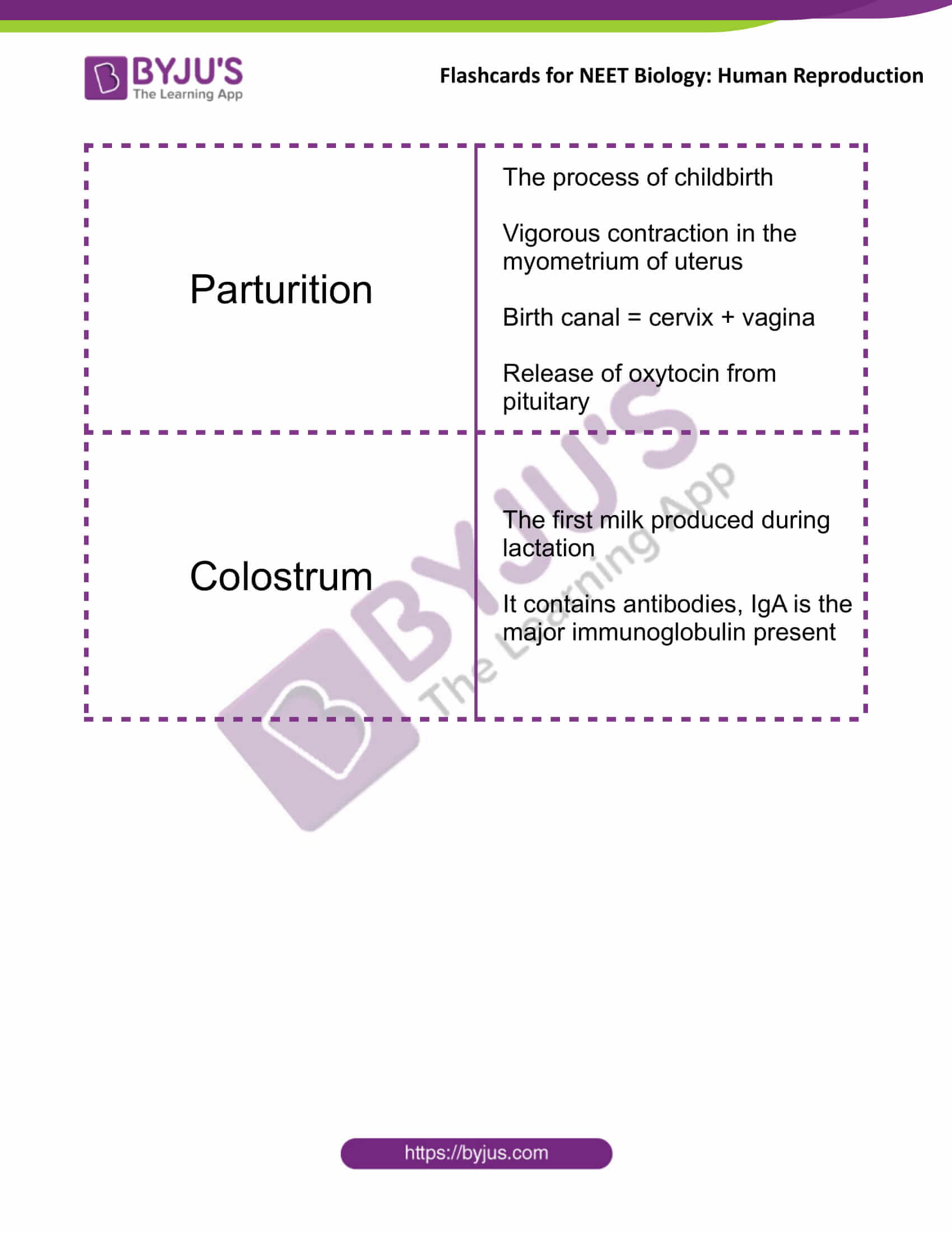 class 12 human reproduction 13